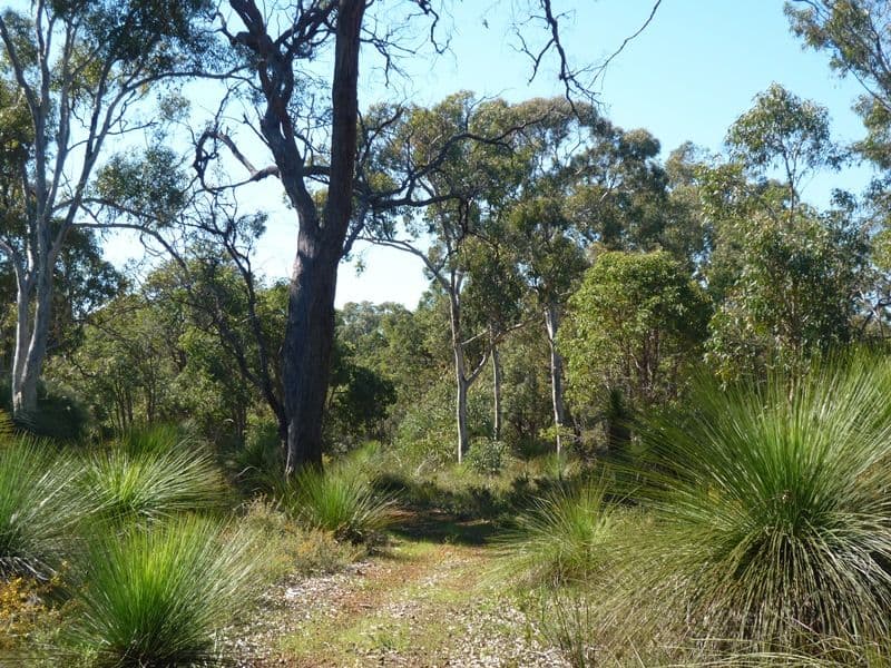 186 Jess Road, Bullsbrook WA 6084, Bullsbrook - Thumbnail 4