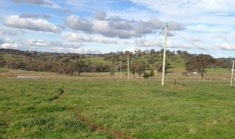 25 Hazelton Place Murringo, Young NSW 2594, Young - Thumbnail 4