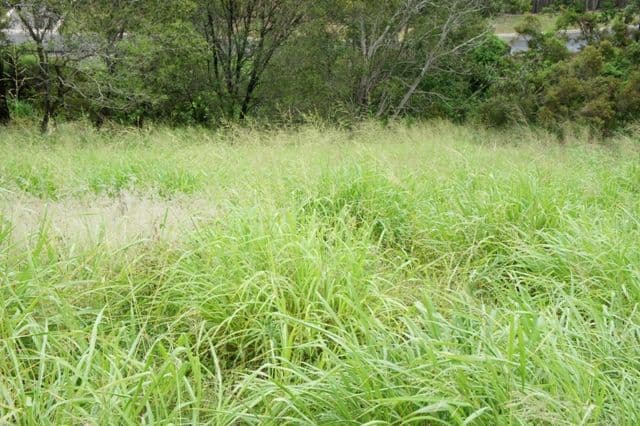 27 Bonros Place, THE GAP QLD 4061, The Gap - Thumbnail 2