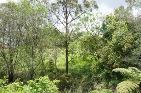27 Bonros Place, THE GAP QLD 4061, The Gap - Thumbnail 4