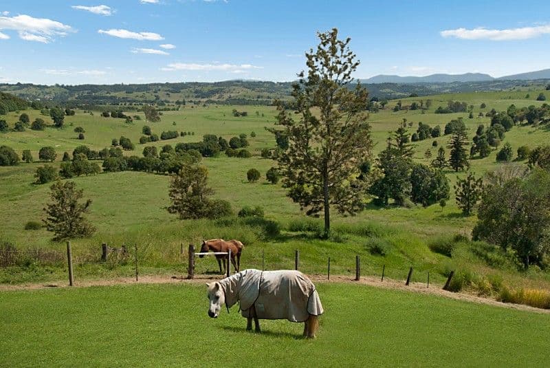6 Windsor Court, GOONELLABAH NSW 2480, Goonellabah - Thumbnail 2