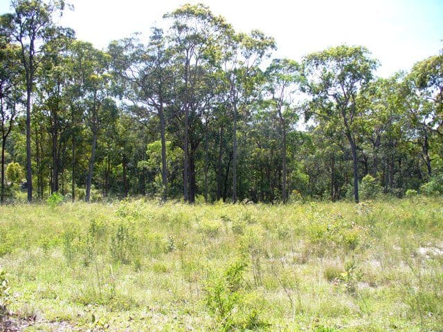 13  Uffington Road, DUNS CREEK NSW 2321, Duns Creek - Image 1