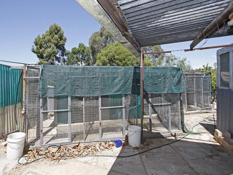 31 Larkdale Crescent, O'Halloran Hill - Thumbnail 6