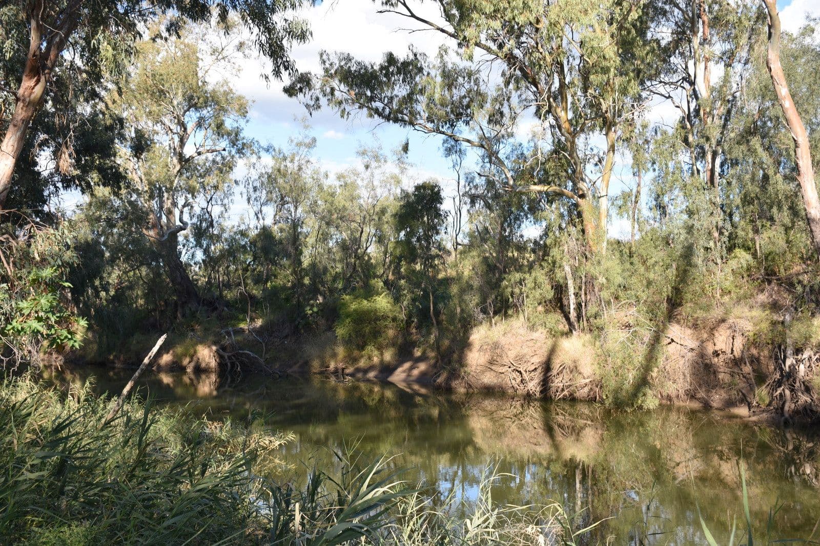 7 Jackson Grove, Moree NSW 2400, Moree - Image 1