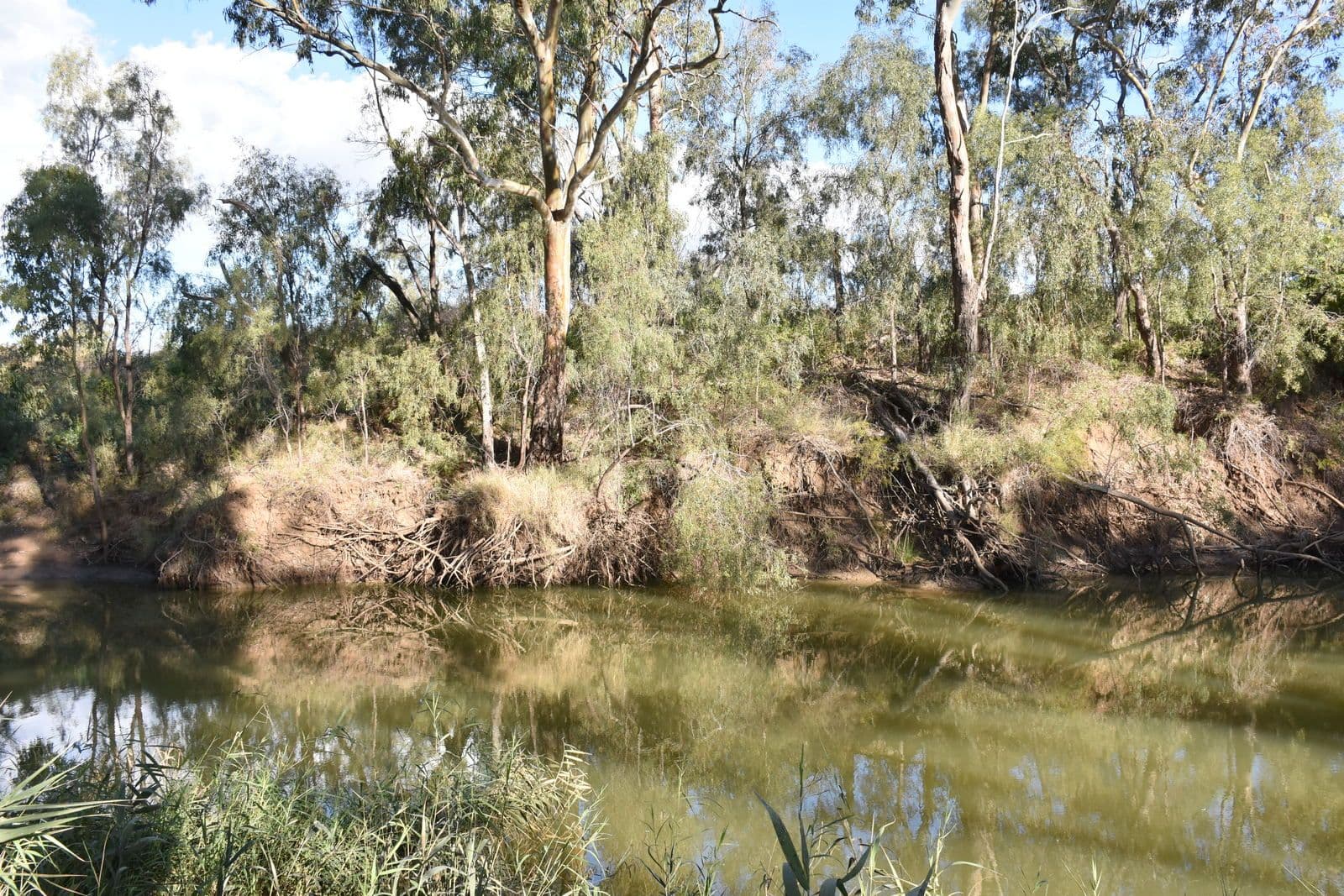 7 Jackson Grove, Moree NSW 2400, Moree - Thumbnail 2