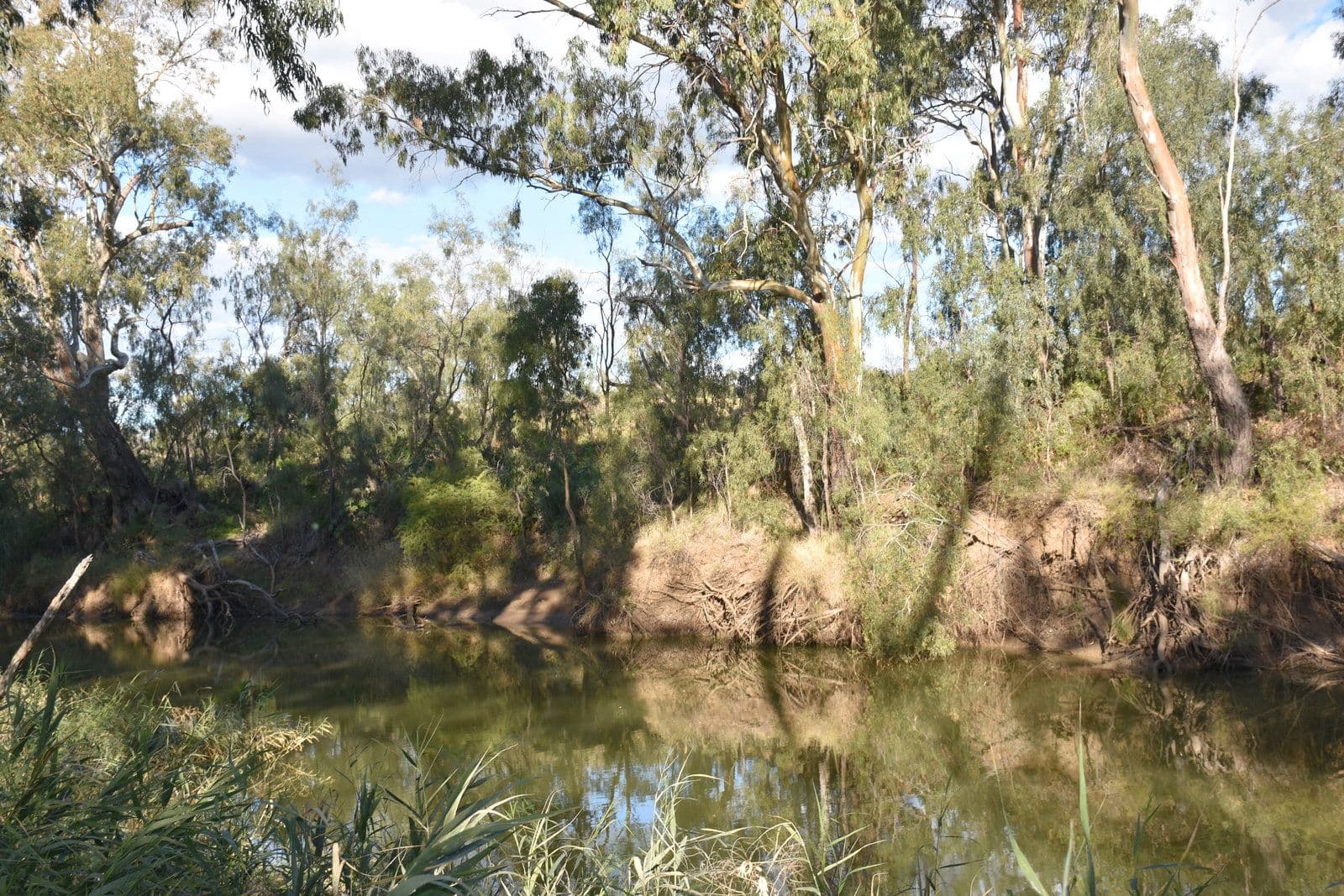 7 Jackson Grove, Moree NSW 2400, Moree - Thumbnail 3