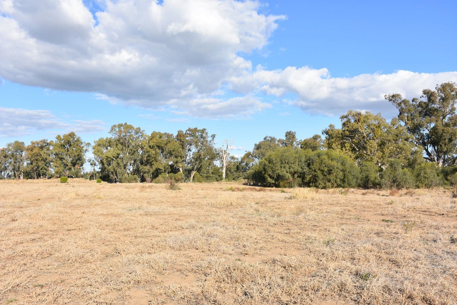 7 Jackson Grove, Moree NSW 2400, Moree - Thumbnail 8