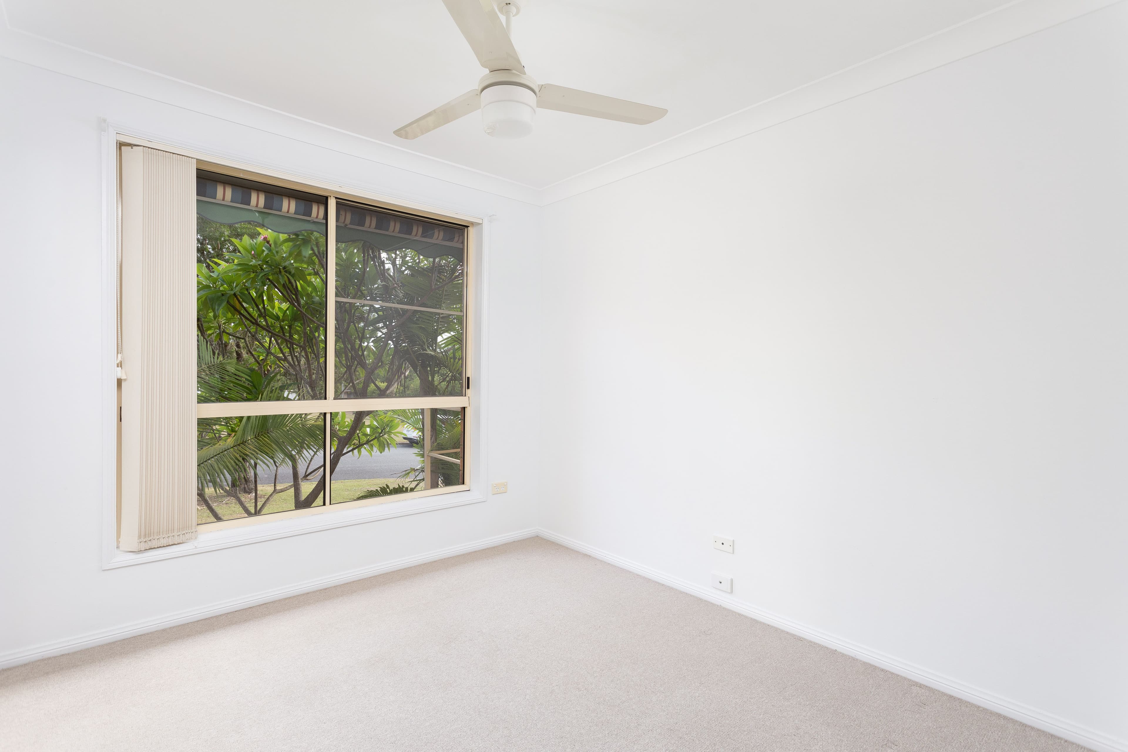 10 Sunset Avenue, Wingham - Thumbnail 8