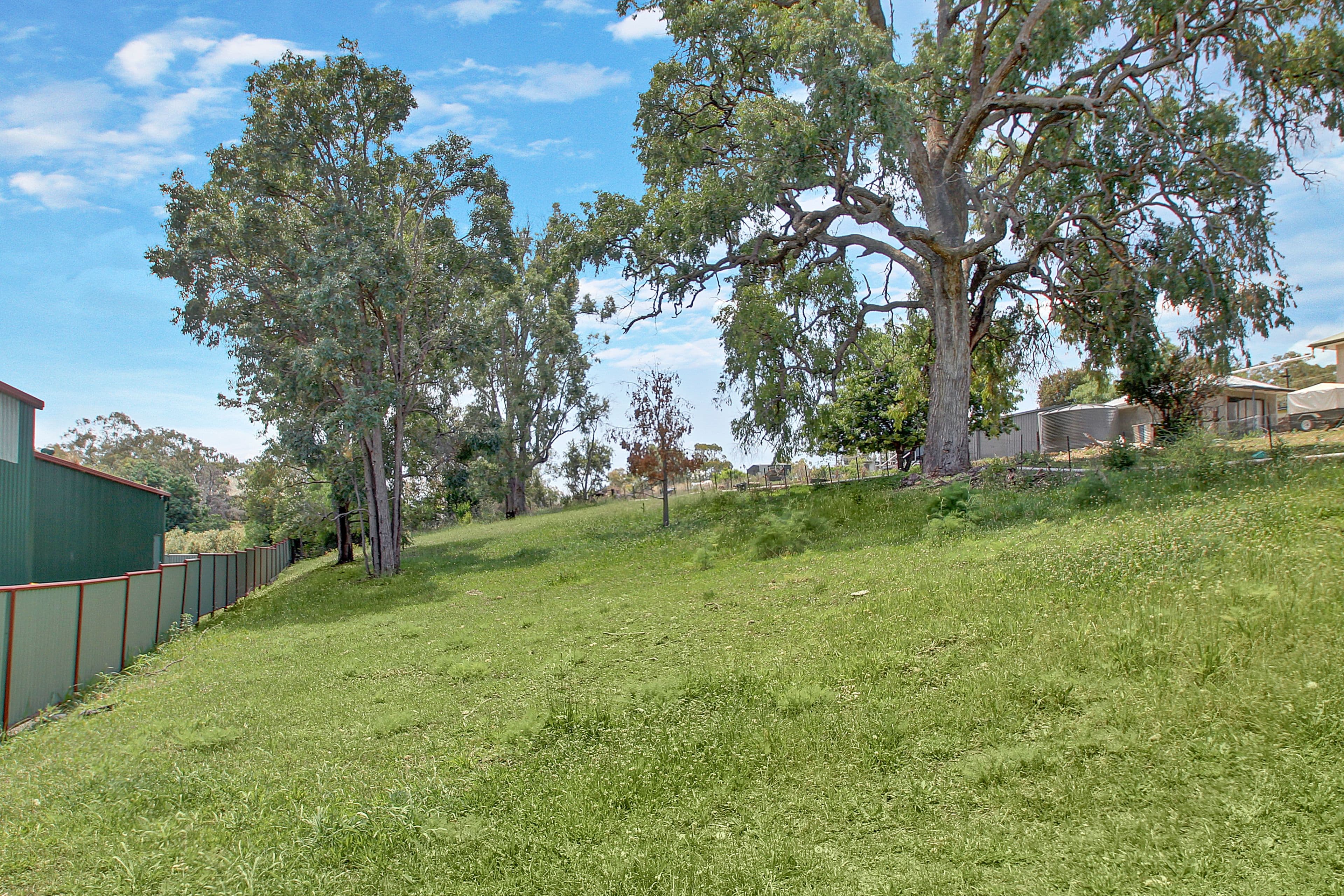 5 Fairbairn Street, Willow Tree NSW 2339, Willow Tree - Thumbnail 4
