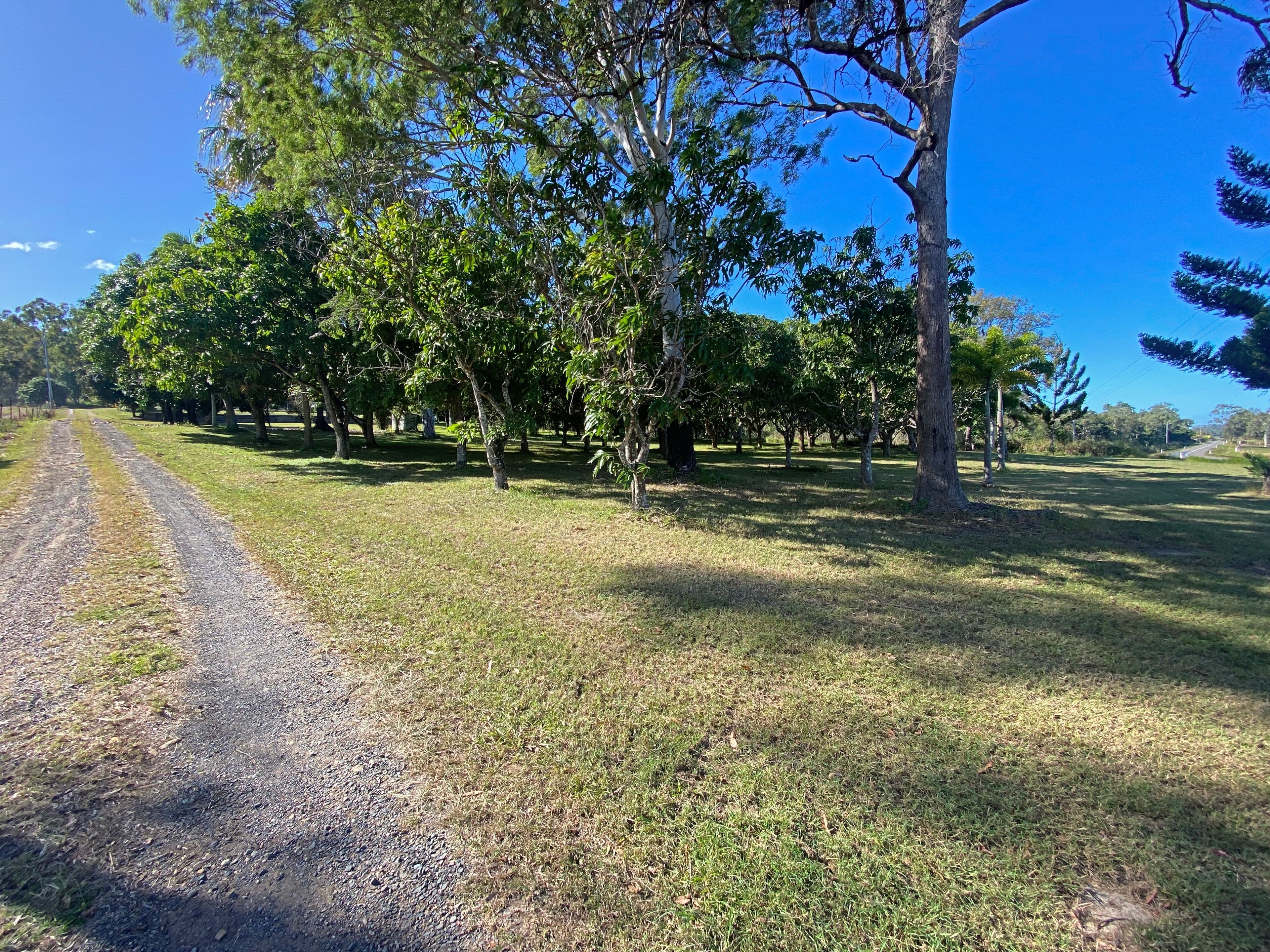 697 Sarina Beach Road, Sarina Beach QLD 4737, Sarina - Thumbnail 3