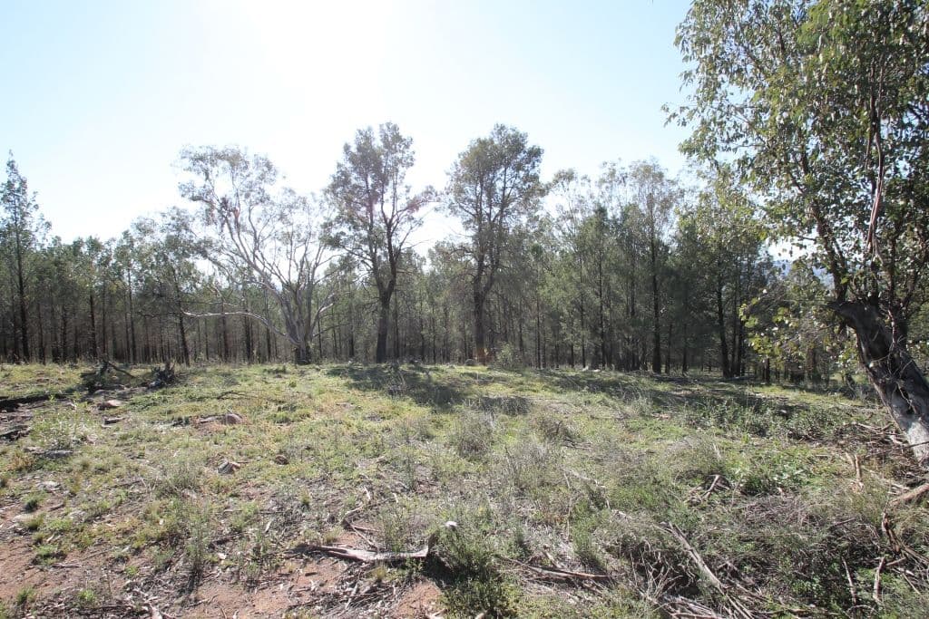 Lot 141 Grandview Place, Quirindi NSW 2343, Quirindi - Thumbnail 4