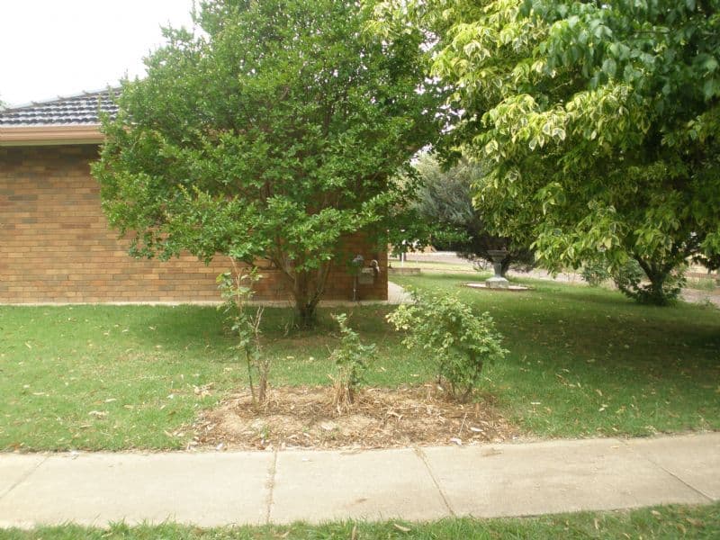 13 Hart Street, ROCHESTER VIC 3561, Rochester - Thumbnail 2
