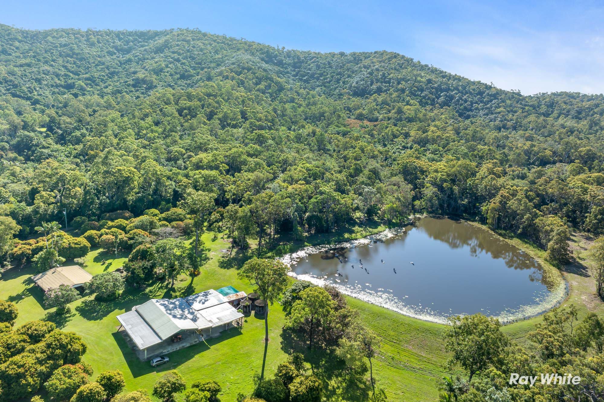104 Castle Rock Road, Byfield QLD 4703, Byfield - Thumbnail 4