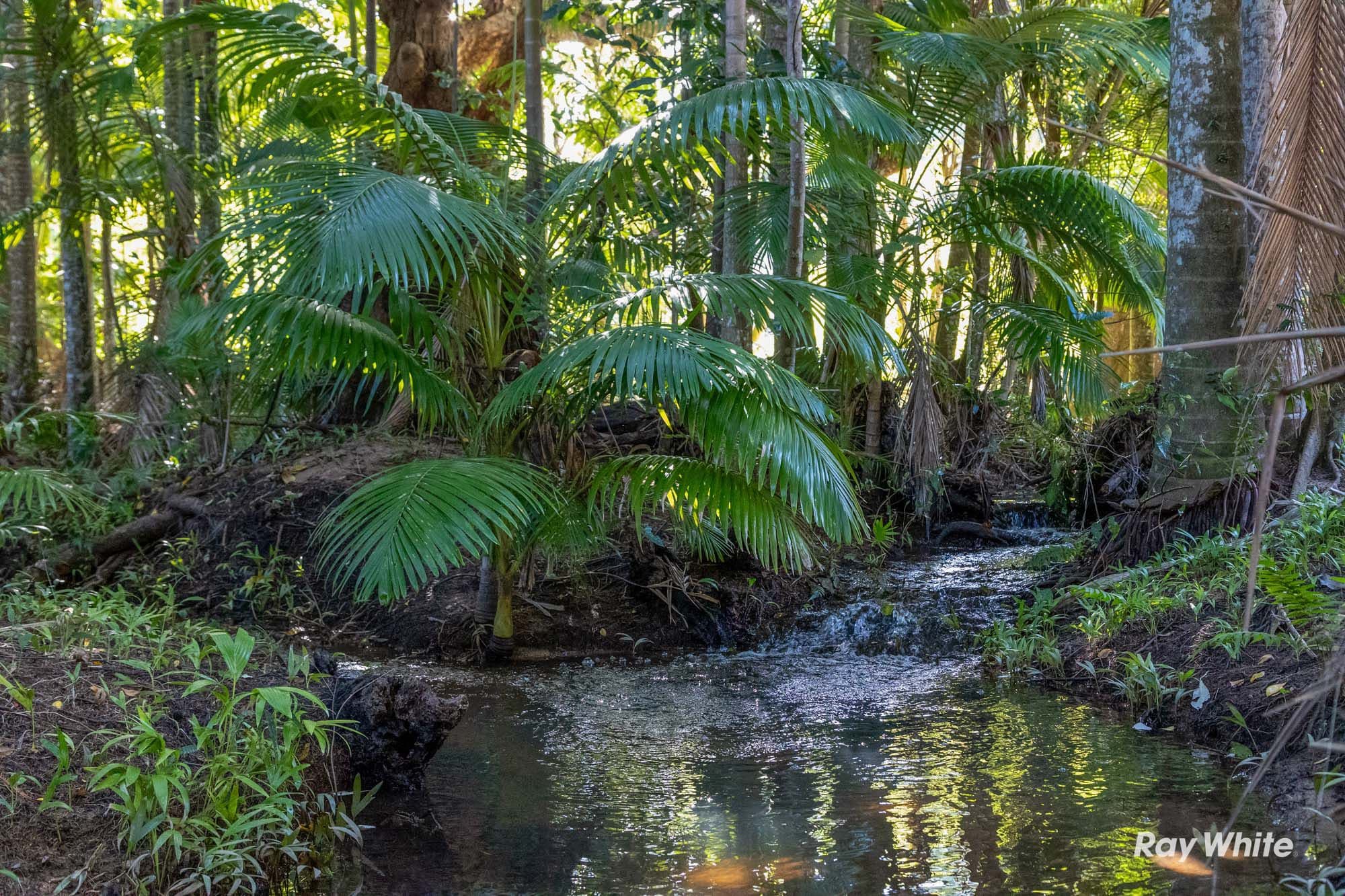 104 Castle Rock Road, Byfield QLD 4703, Byfield - Thumbnail 6