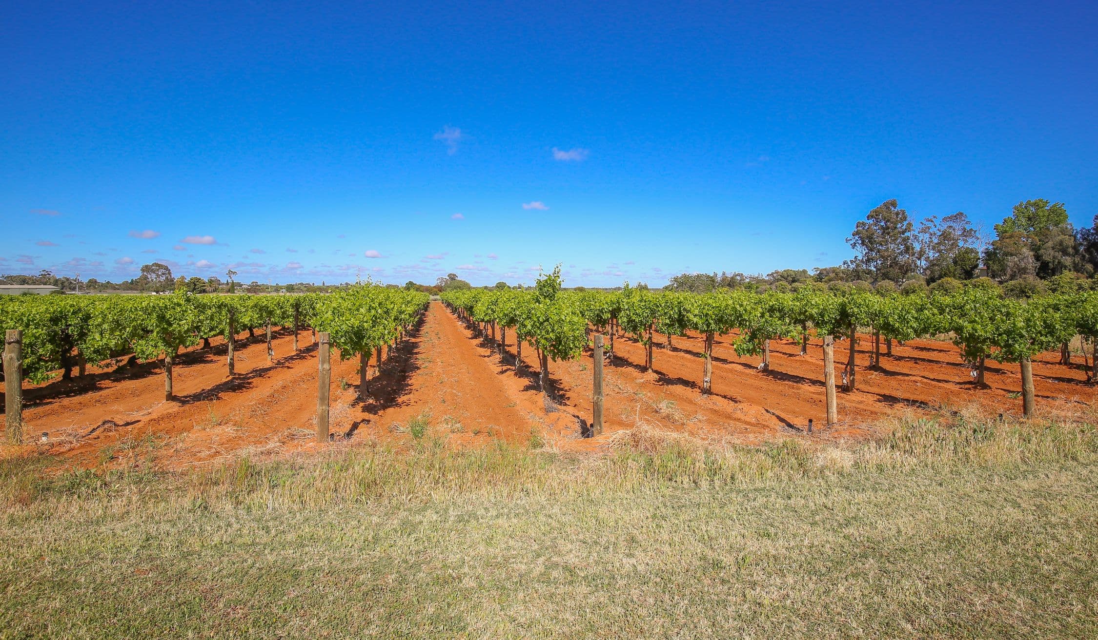 326b Euston Avenue, Cardross VIC 3496, Cardross - Thumbnail 4
