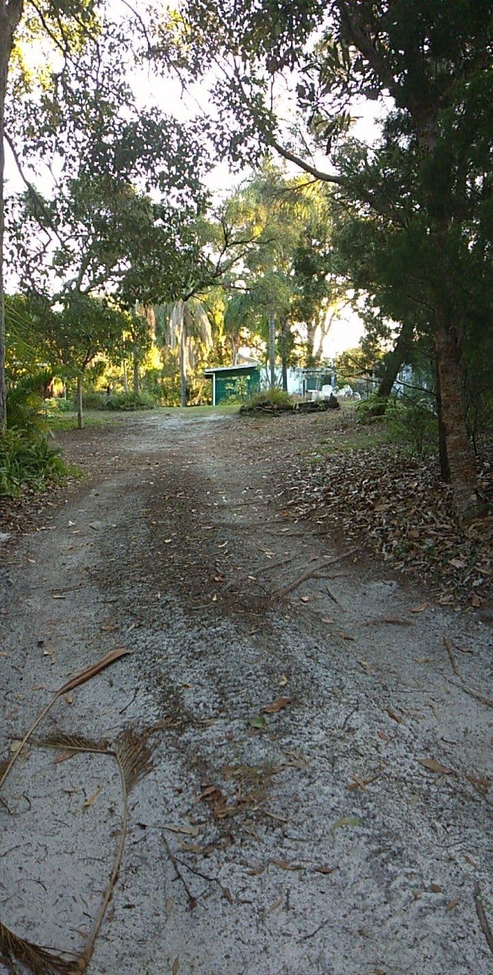 60 Moreton Street, Bulwer QLD 4025, Bulwer - Thumbnail 8