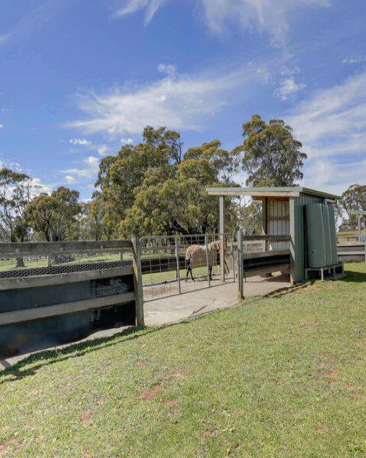 Bibby's Lane Moss Vale, Vale - Thumbnail 2