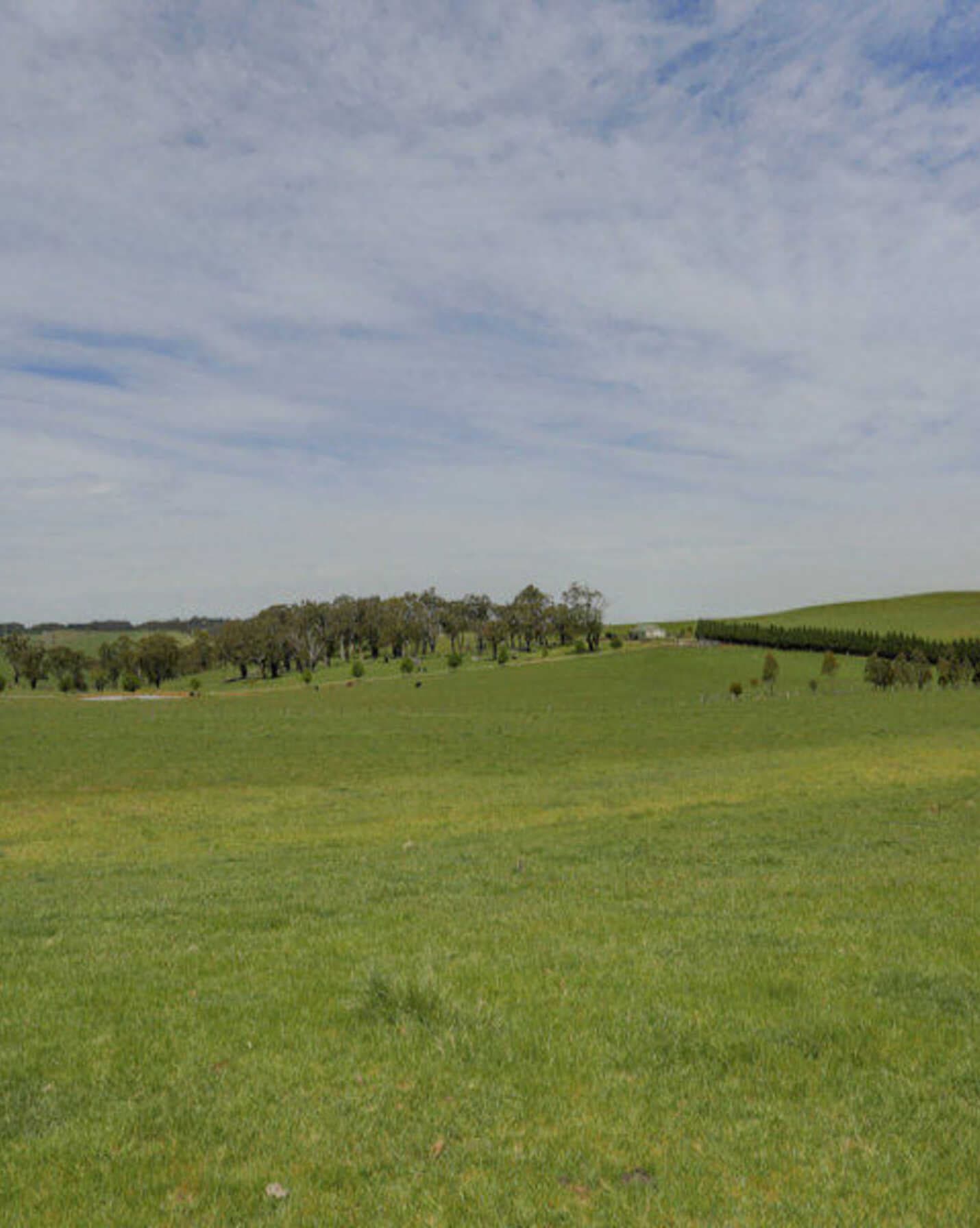 Bibby's Lane Moss Vale, Vale - Thumbnail 3