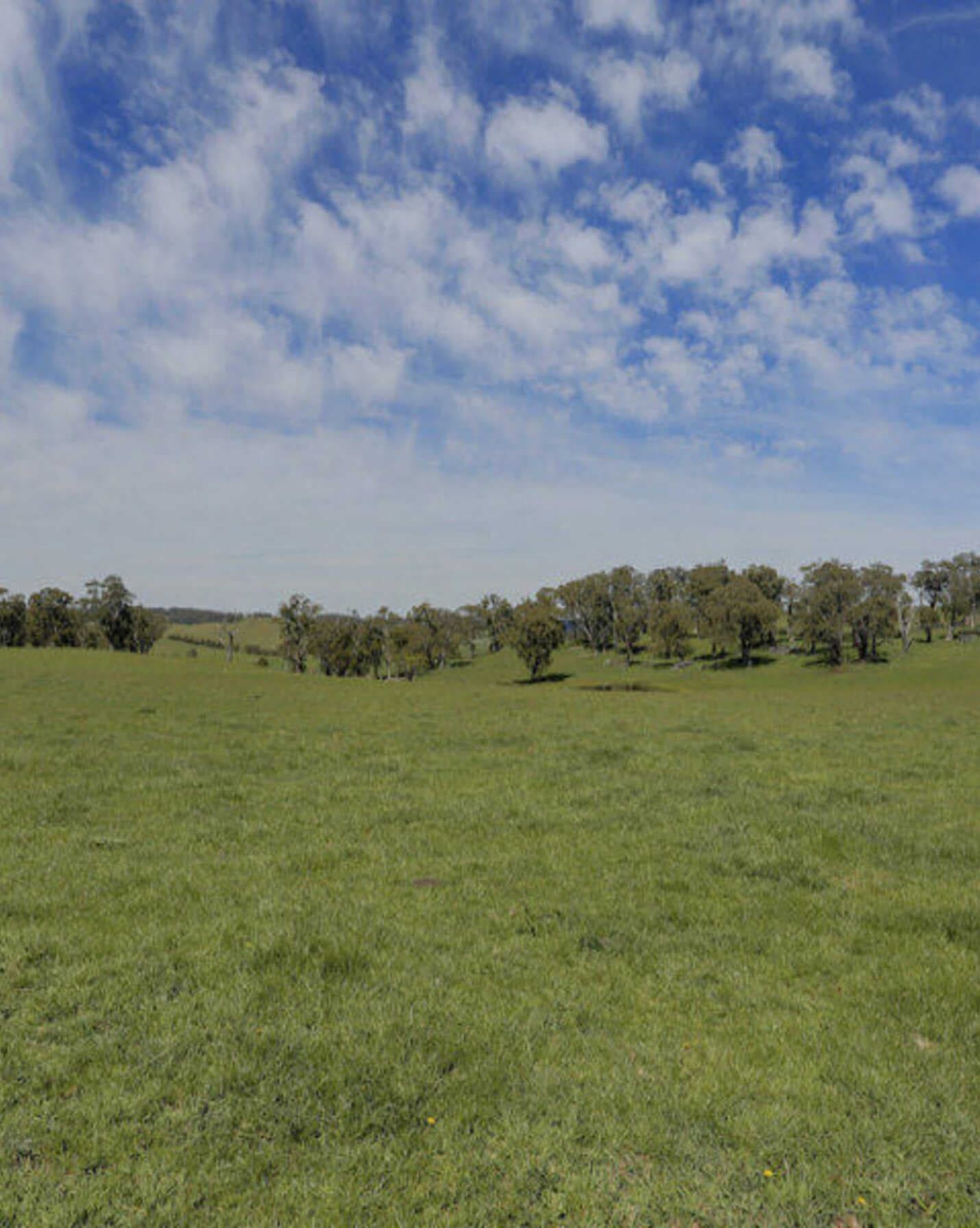 Bibby's Lane Moss Vale, Vale - Thumbnail 5