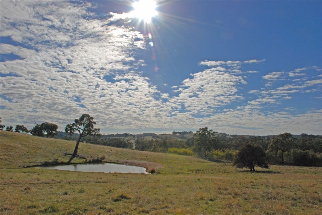 940 Dairy Flat Road, HEATHCOTE VIC 3523, Heathcote South - Thumbnail 4