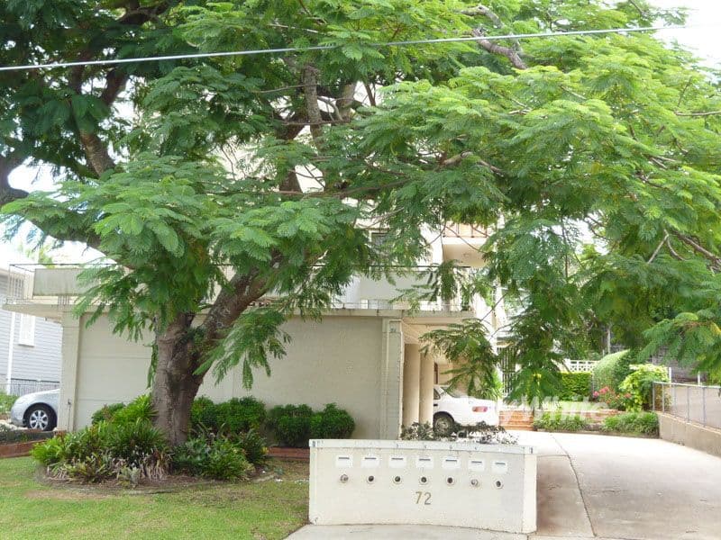 72 Riverton Street, Clayfield QLD 4011, Clayfield - Image 1