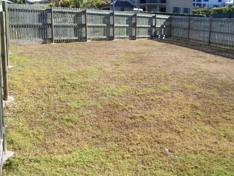 34 Caribbean Crescent, YEPPOON QLD 4703, Yeppoon - Thumbnail 4