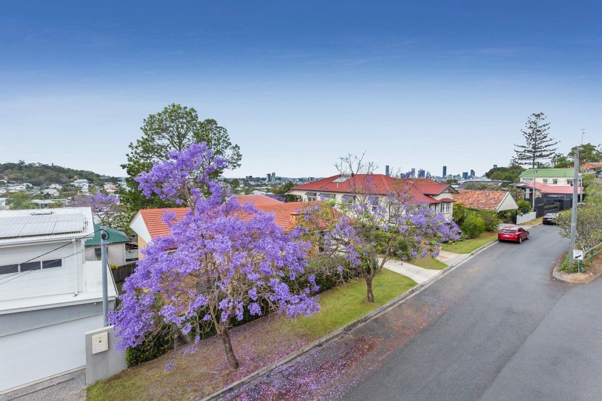 6 Watson Street, Newmarket QLD 4051, Newmarket - Thumbnail 6