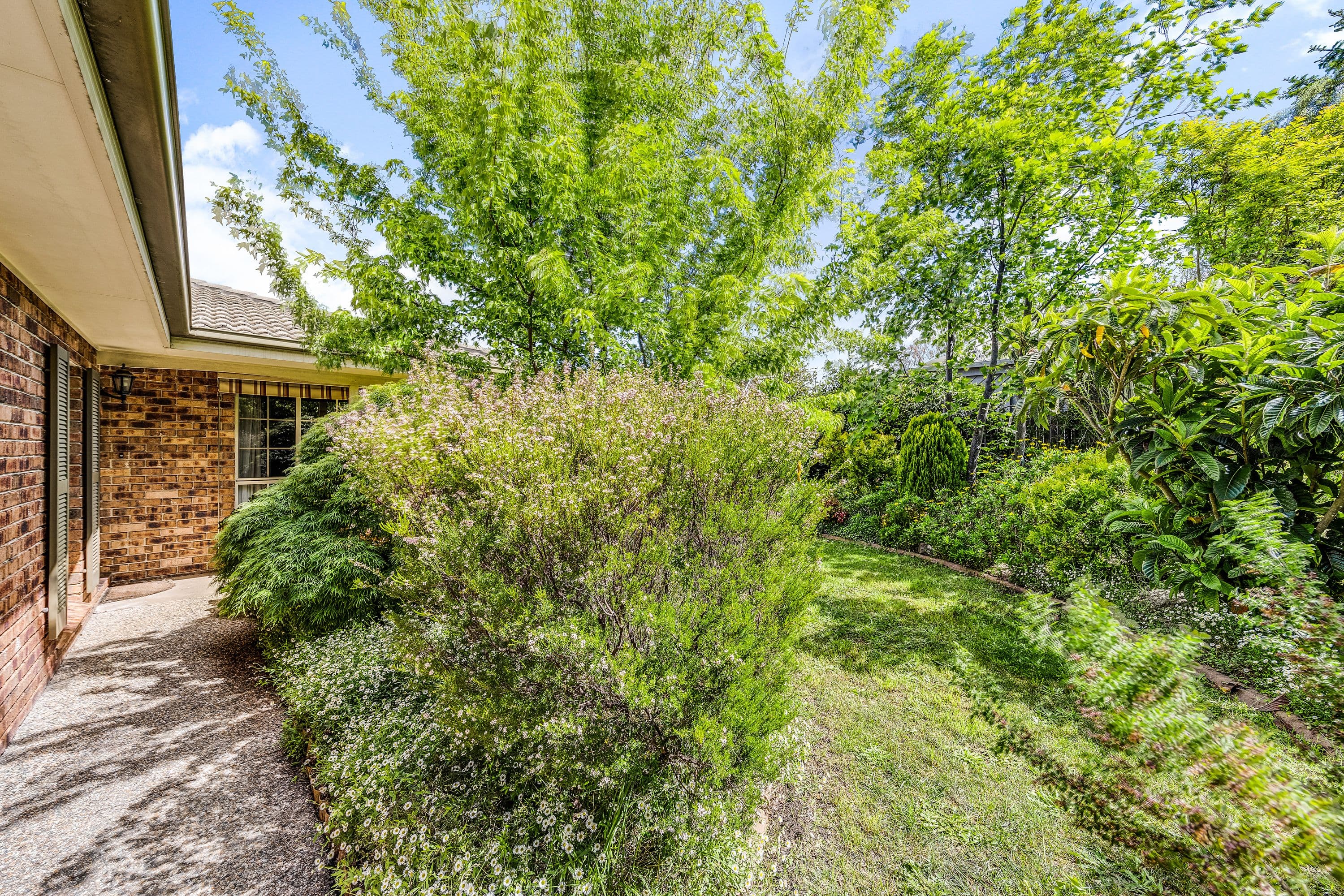 43 Bimberi Crescent, Palmerston ACT 2913, Palmerston - Thumbnail 3