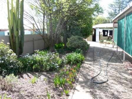 4 Thomas Place, CULCAIRN NSW 2660, Culcairn - Thumbnail 8