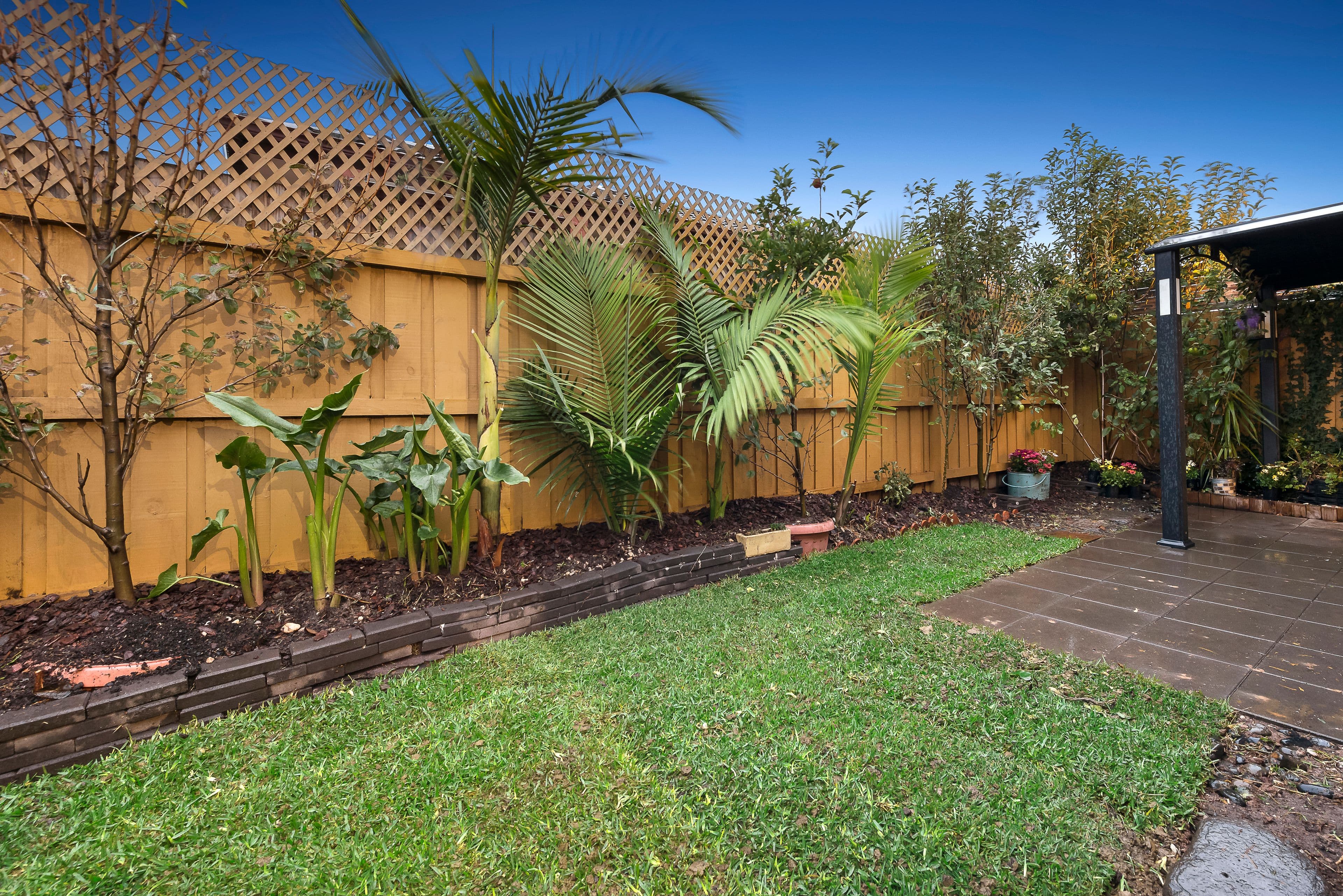 36 Milton Avenue, Clayton South VIC 3169, Clayton South - Thumbnail 8
