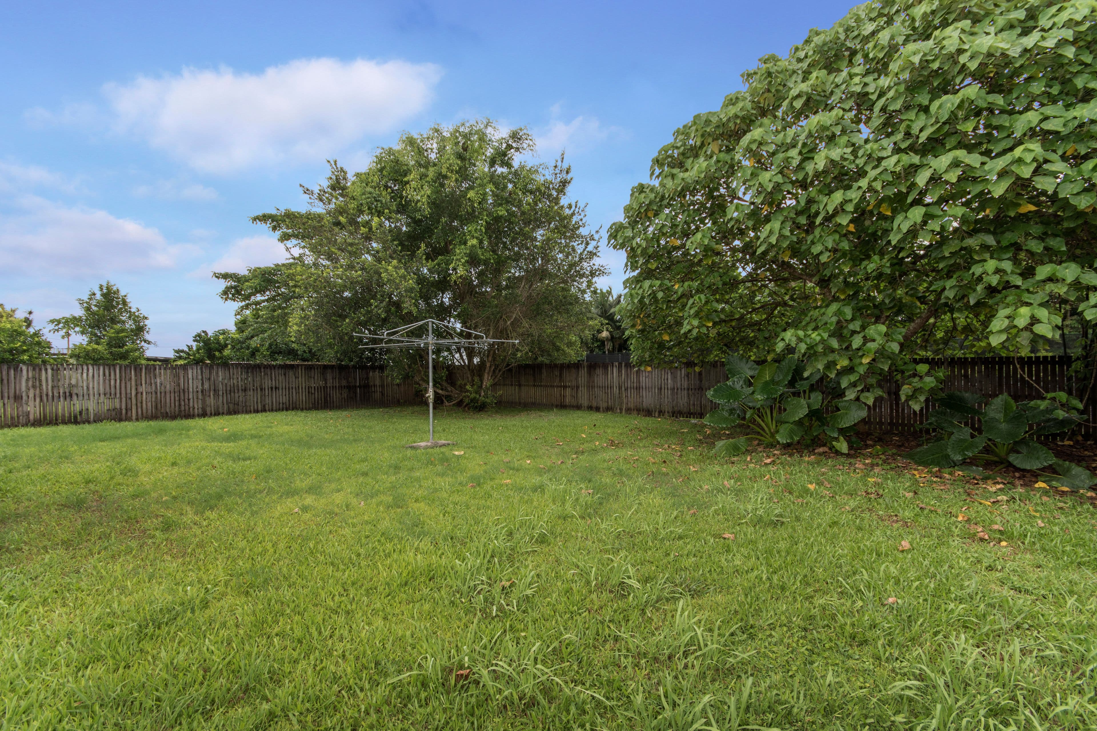 18 Campbell Street, Innisfail QLD 4860, Innisfail - Thumbnail 3
