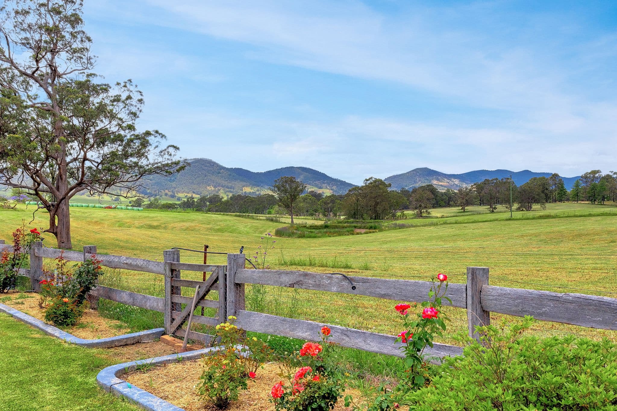 17 Woodward Street, Gloucester NSW 2422, Gloucester - Thumbnail 4
