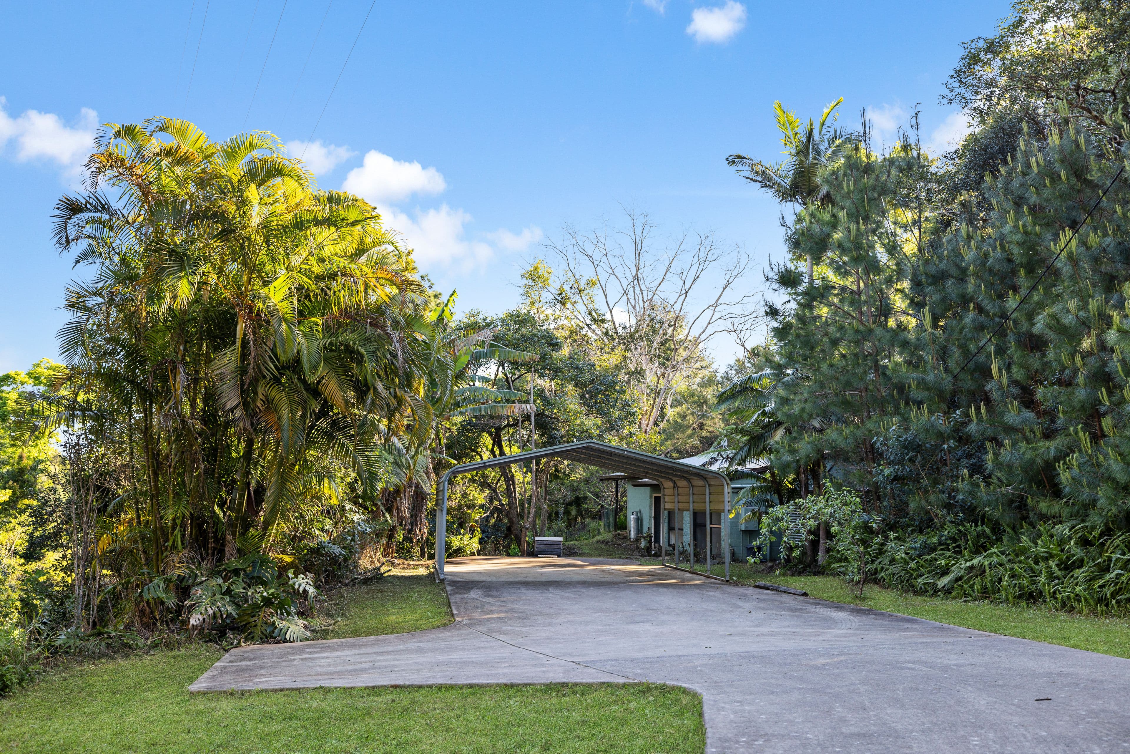 36 Balmoral Road, Montville QLD 4560, Montville - Thumbnail 2