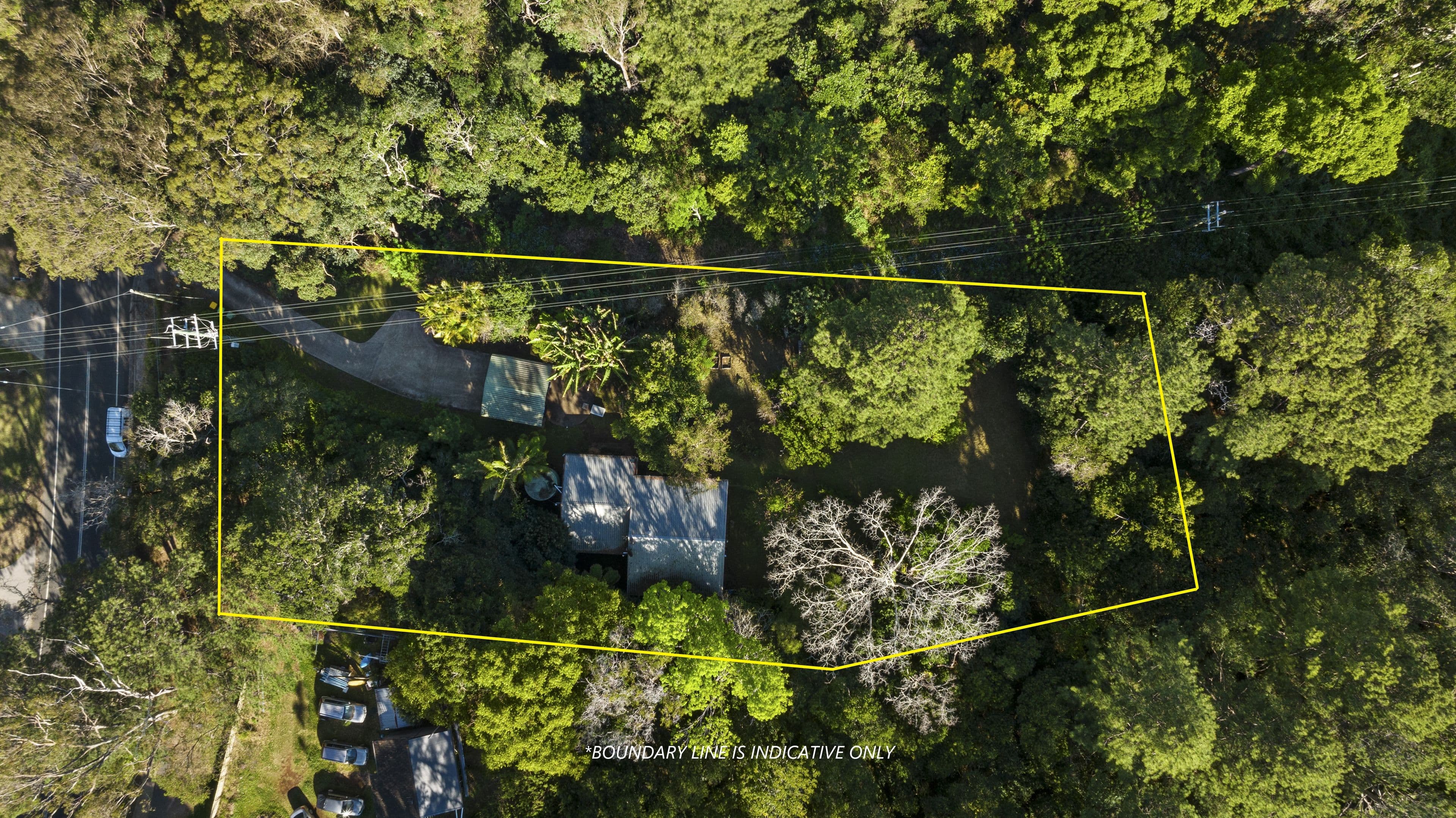 36 Balmoral Road, Montville QLD 4560, Montville - Thumbnail 3