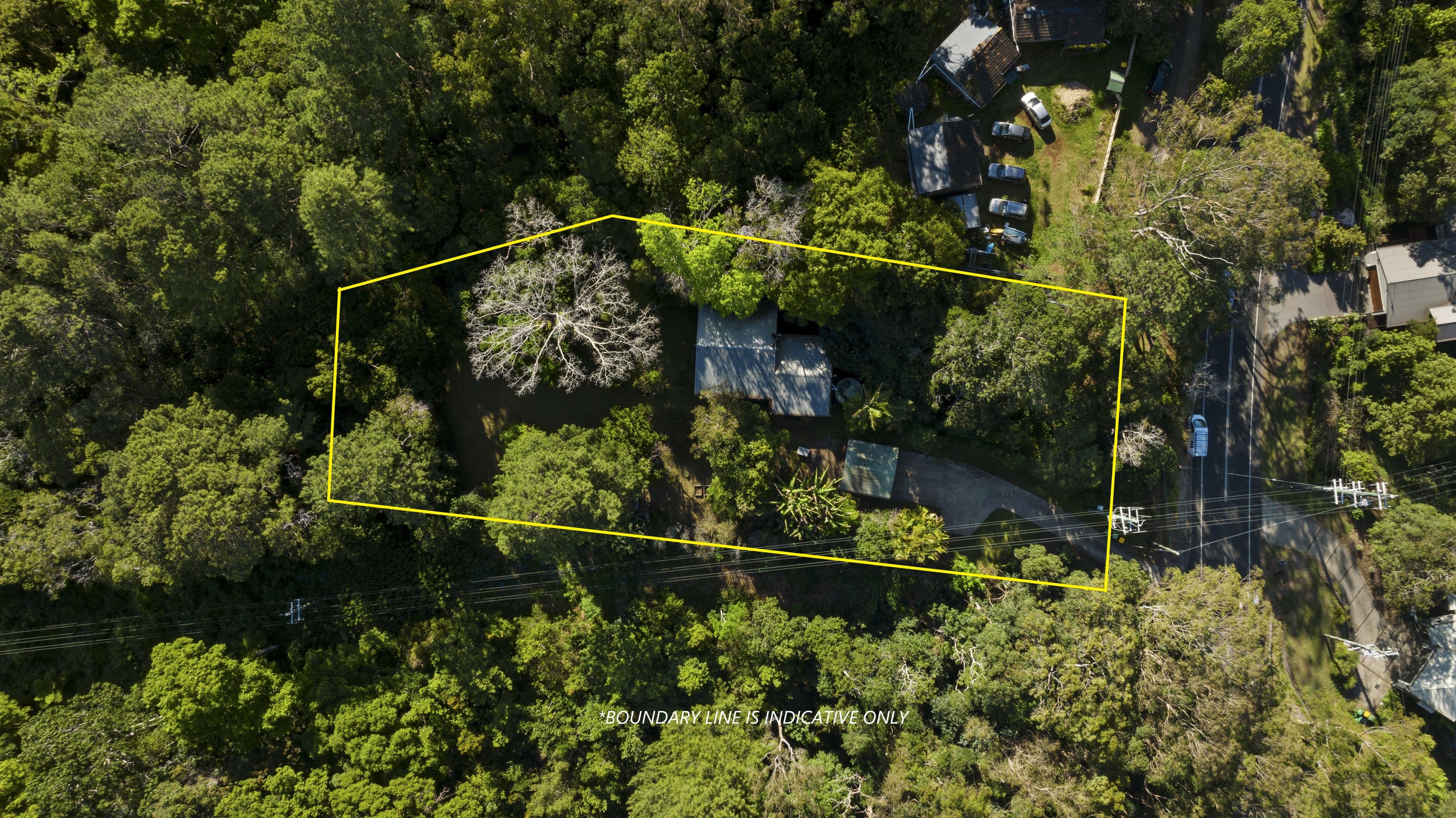 36 Balmoral Road, Montville QLD 4560, Montville - Thumbnail 6