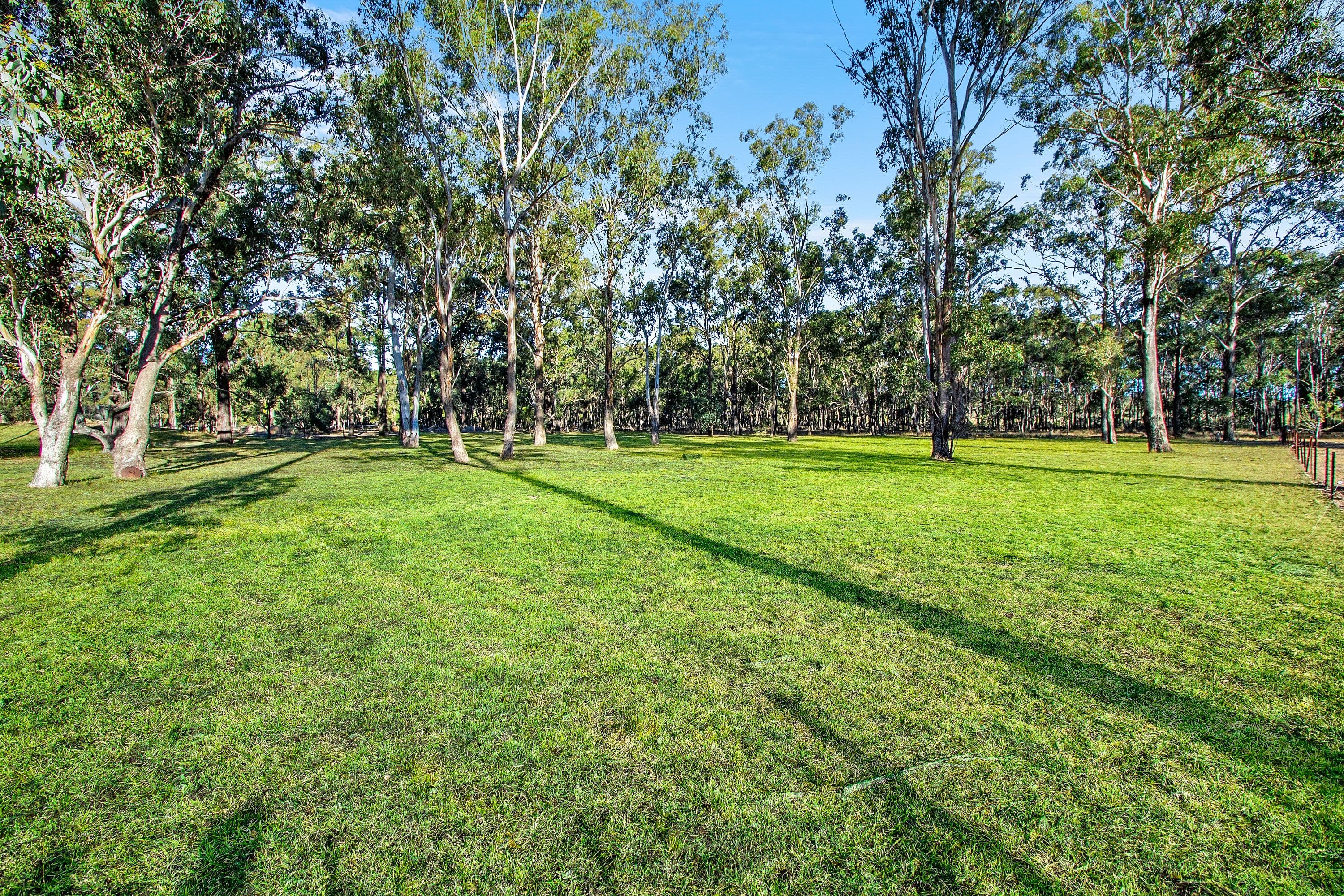 Agnes Banks NSW 2753, Agnes Banks - Thumbnail 5