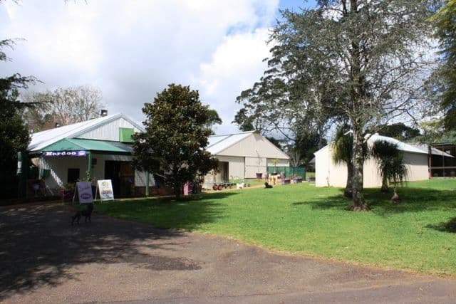 41-43 Lahey Road, NORTH TAMBORINE QLD 4272, North Tamborine - Thumbnail 2