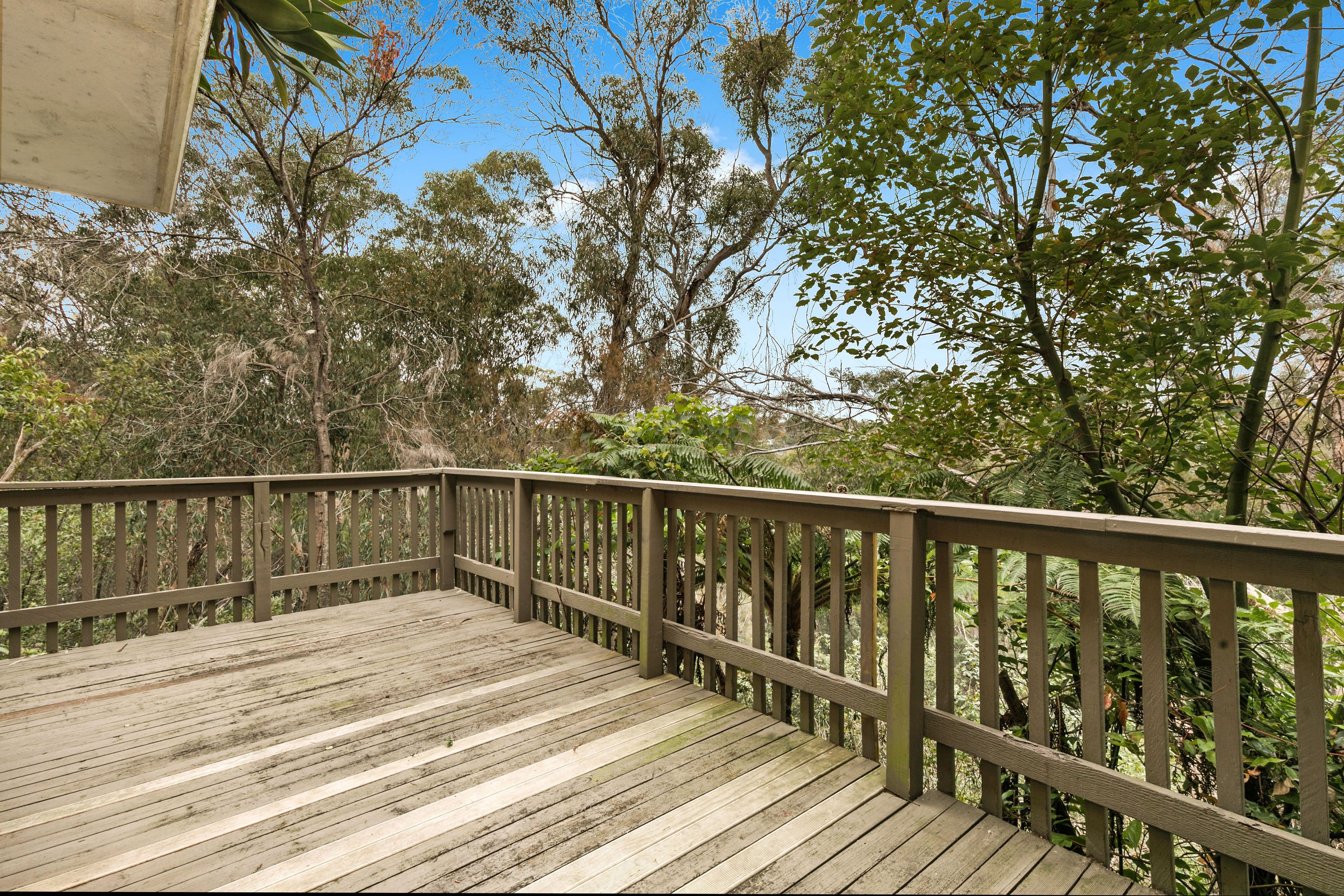 5 Uralba Place, Wahroonga NSW 2076, Wahroonga - Thumbnail 6