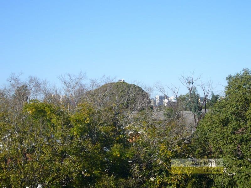 31 Grantson Street, WINDSOR QLD 4030, Windsor - Thumbnail 5