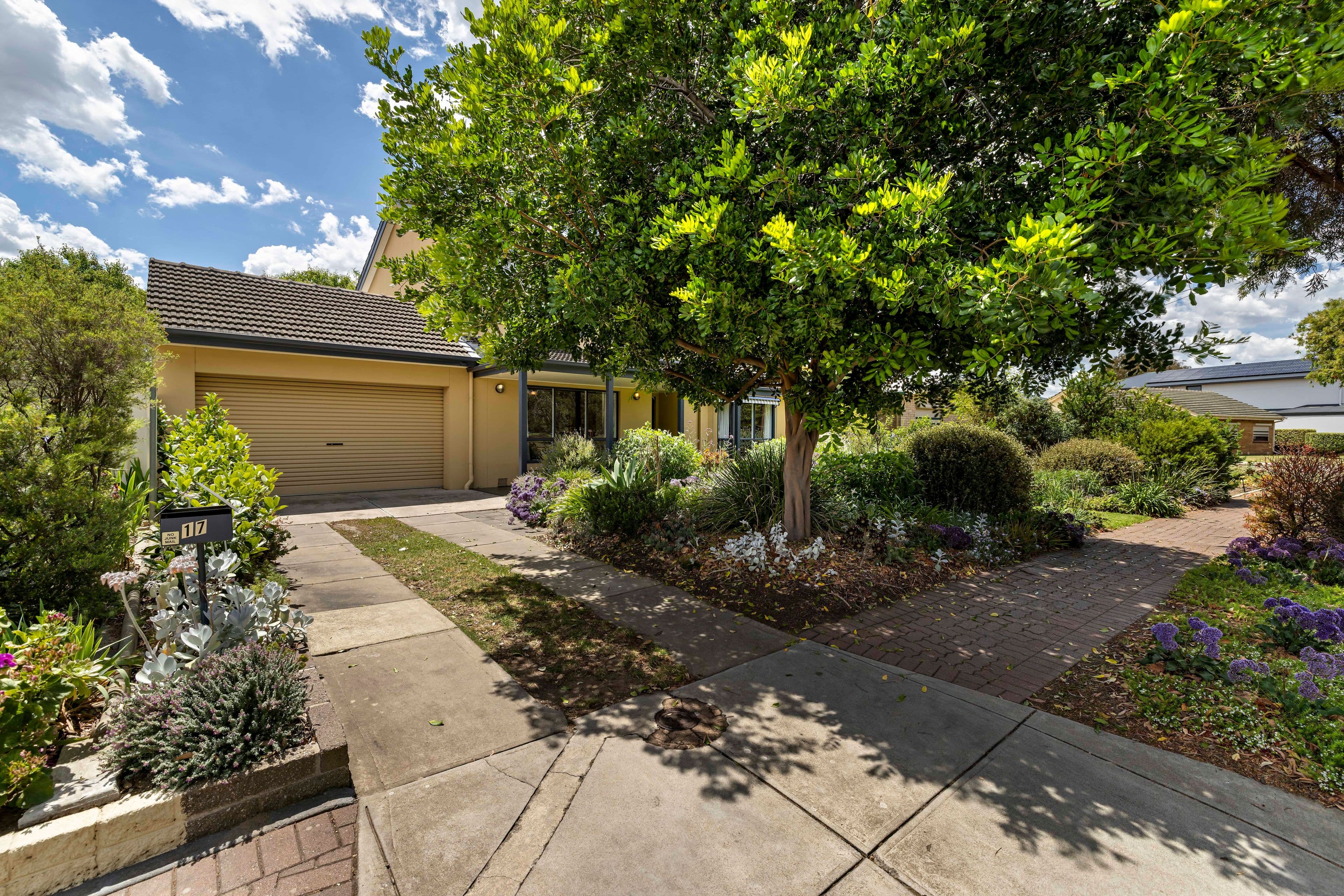 17 Whibley Street, Henley Beach SA 5022, Henley Beach - Thumbnail 3