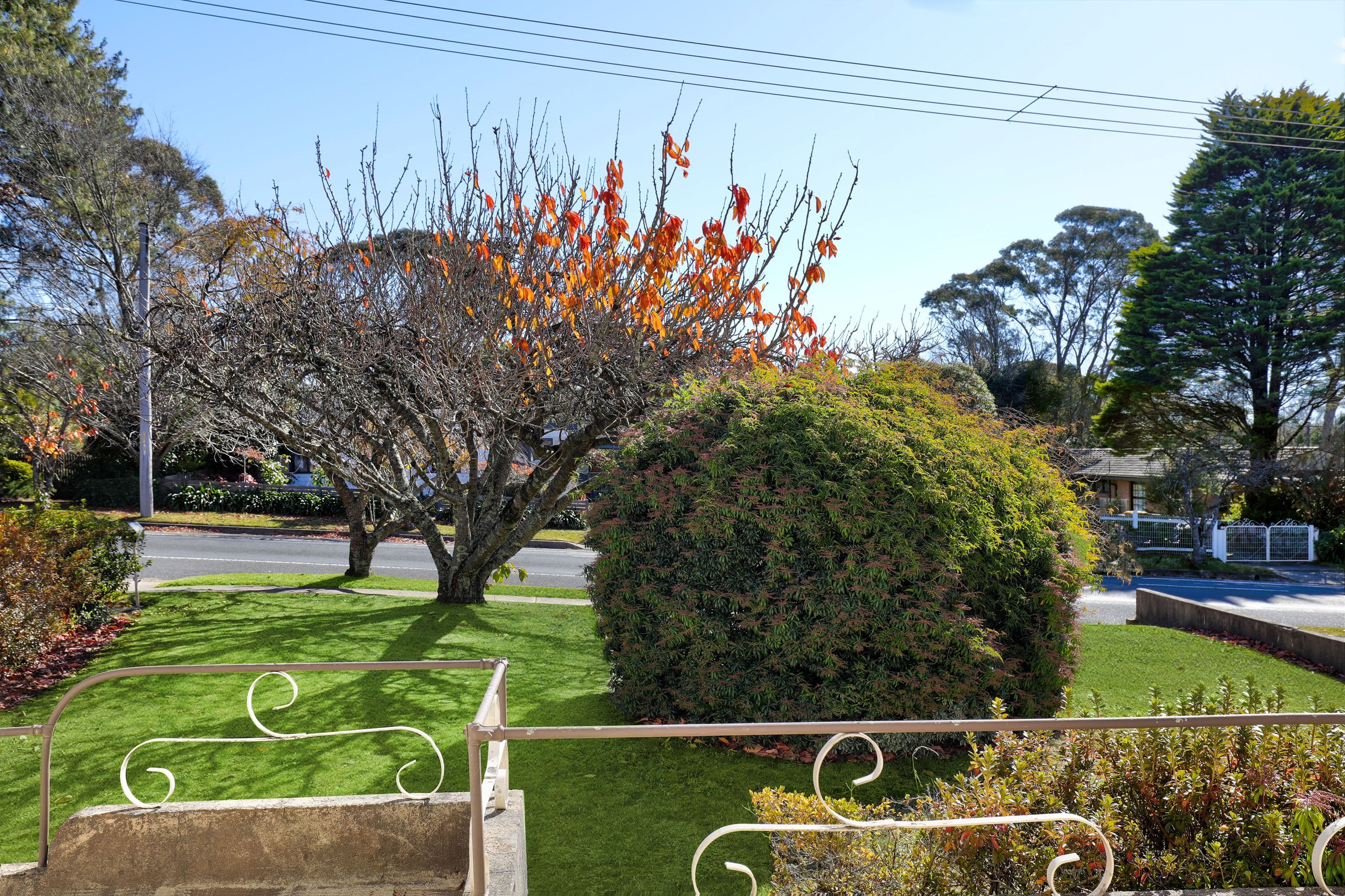 105 Hat Hill Road, Blackheath NSW 2785, Blackheath - Thumbnail 2