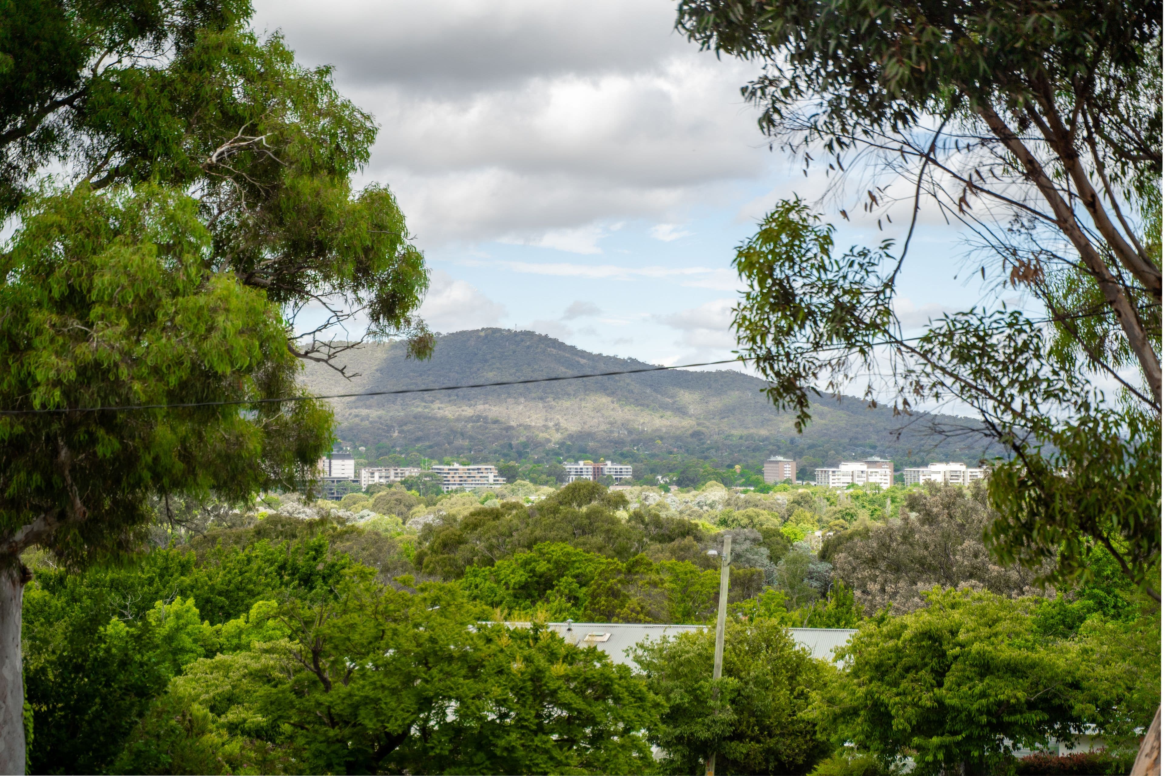 3 Nardoo Crescent, O'Connor ACT 2602, O'Connor - Image 1