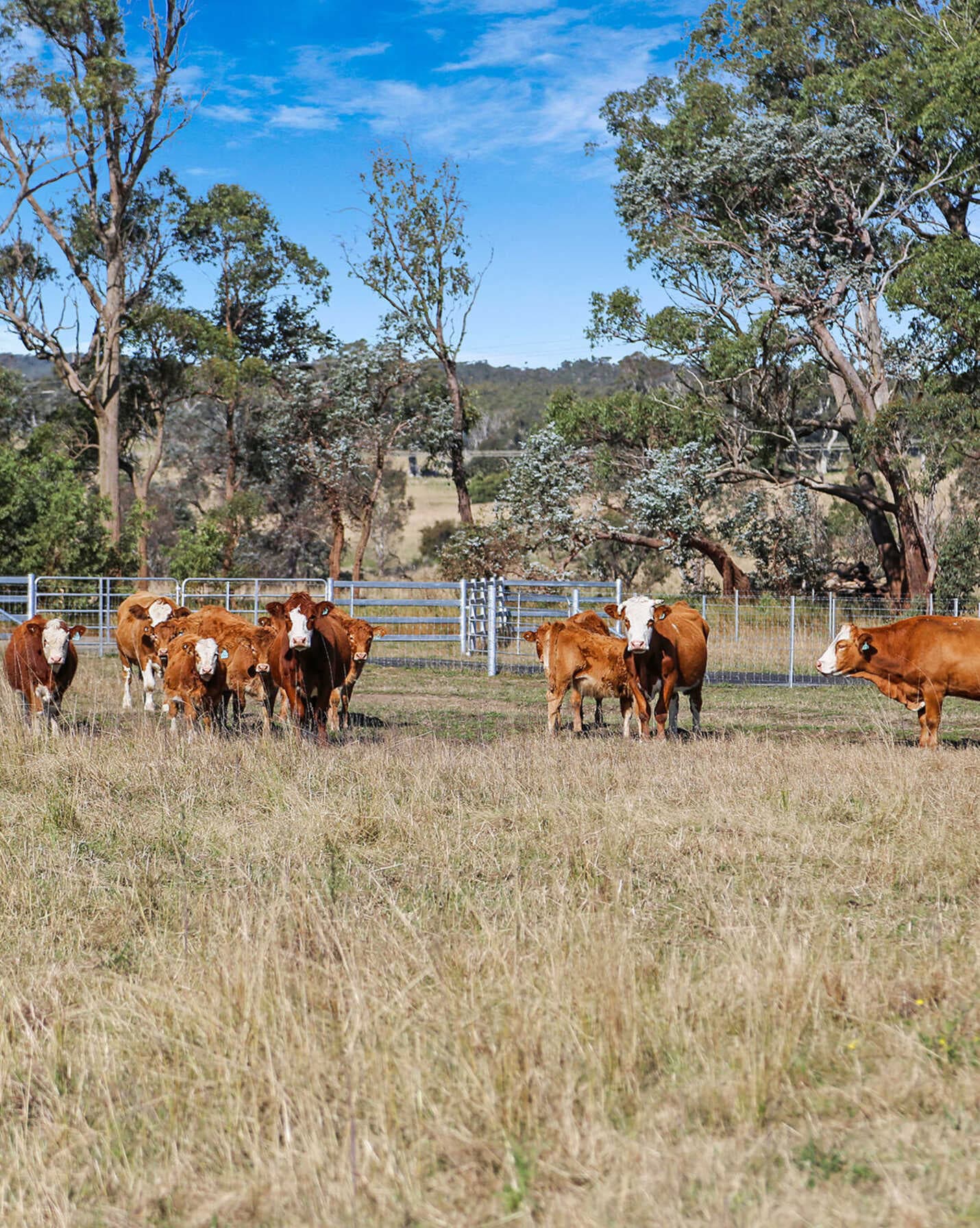 595 Inverary Road Paddys River, River - Image 1