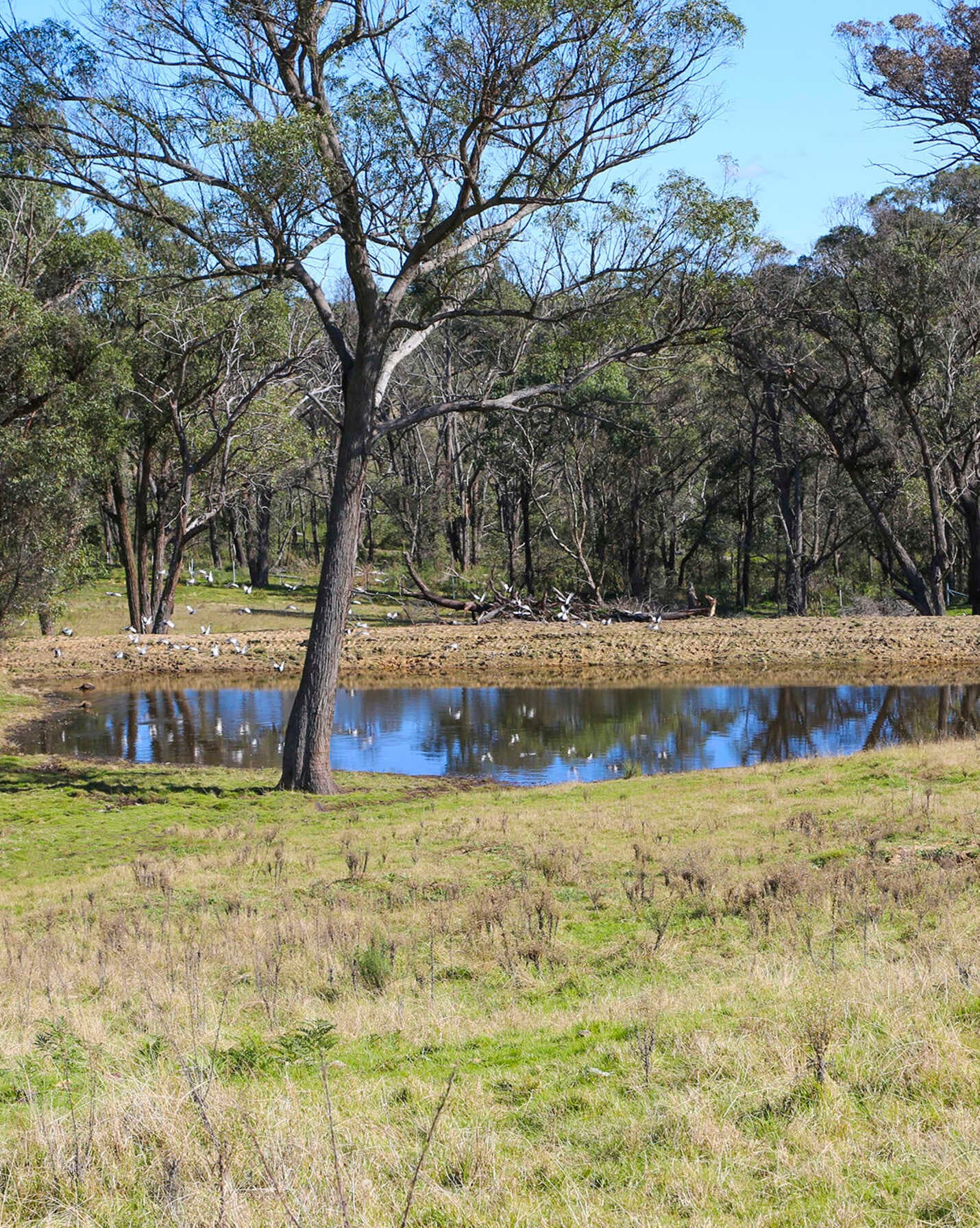 595 Inverary Road Paddys River, River - Thumbnail 2