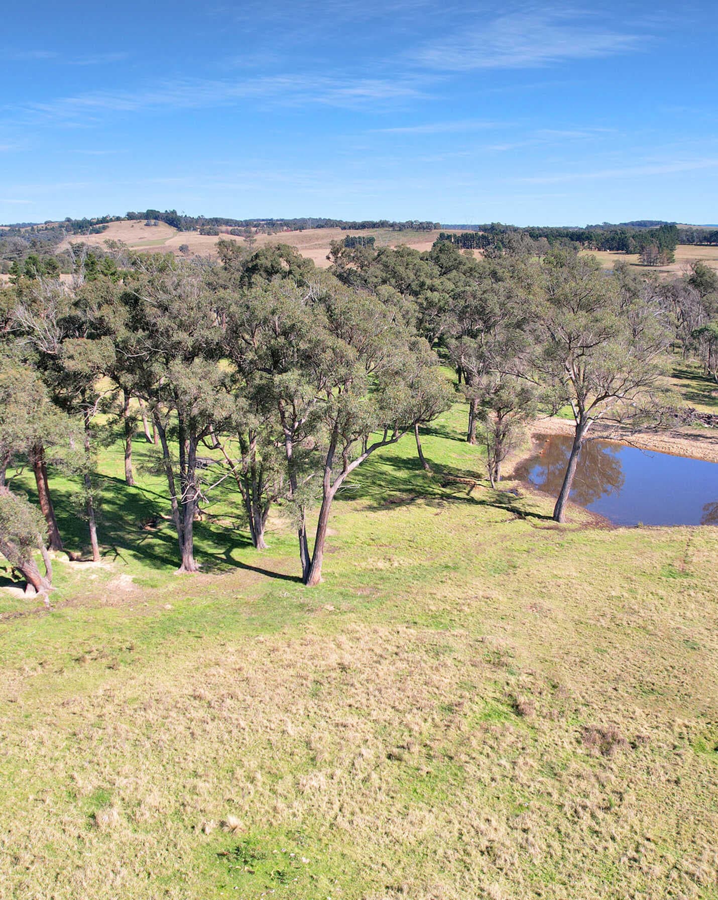 595 Inverary Road Paddys River, River - Thumbnail 7