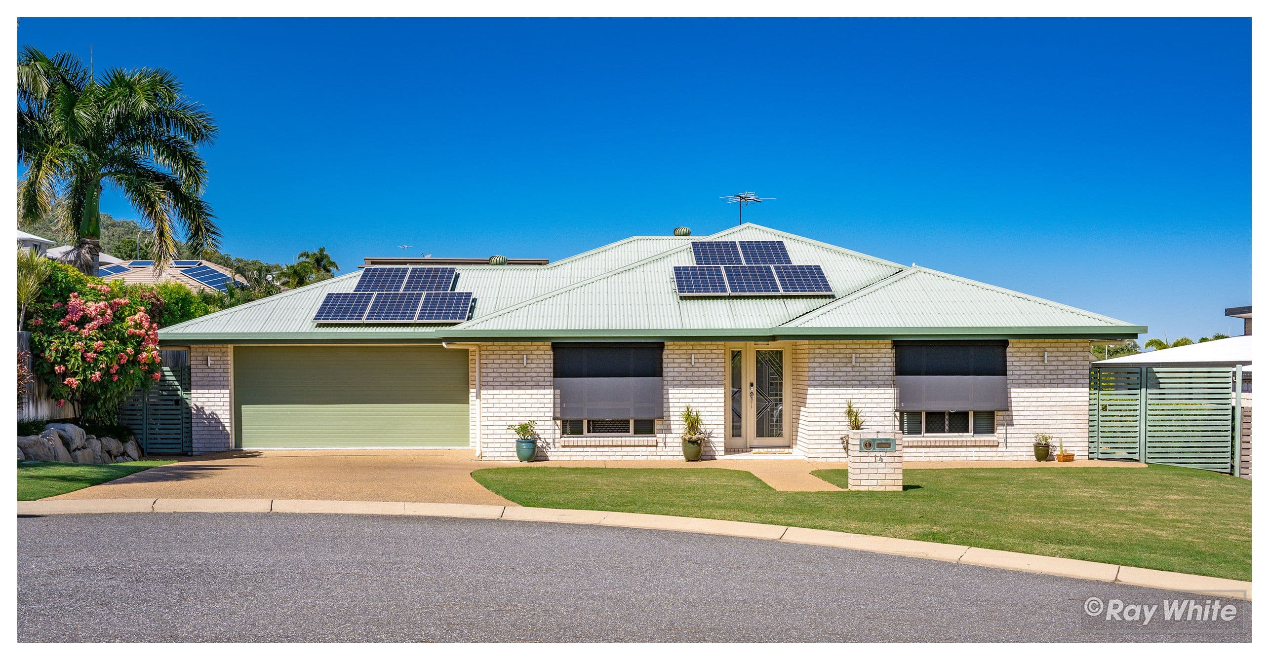 14 Cycad Court, Norman Gardens QLD 4701, Norman Gardens - Image 1