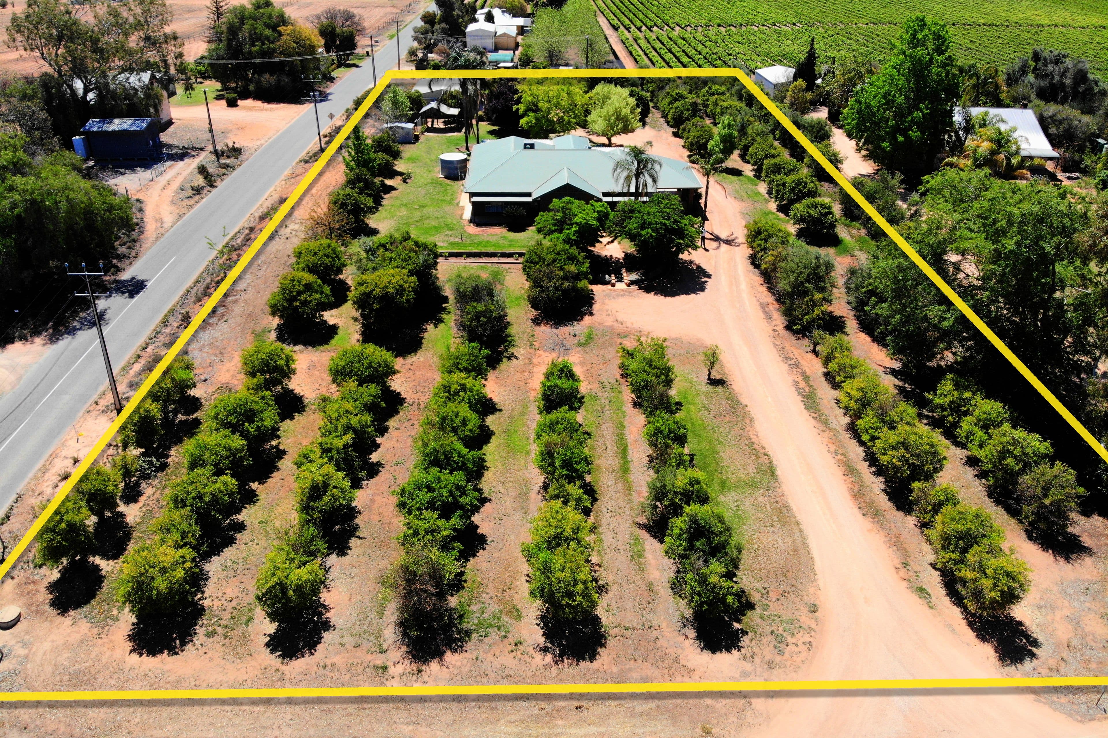 64 Etiwanda Street, Renmark SA 5341, Renmark West - Thumbnail 3