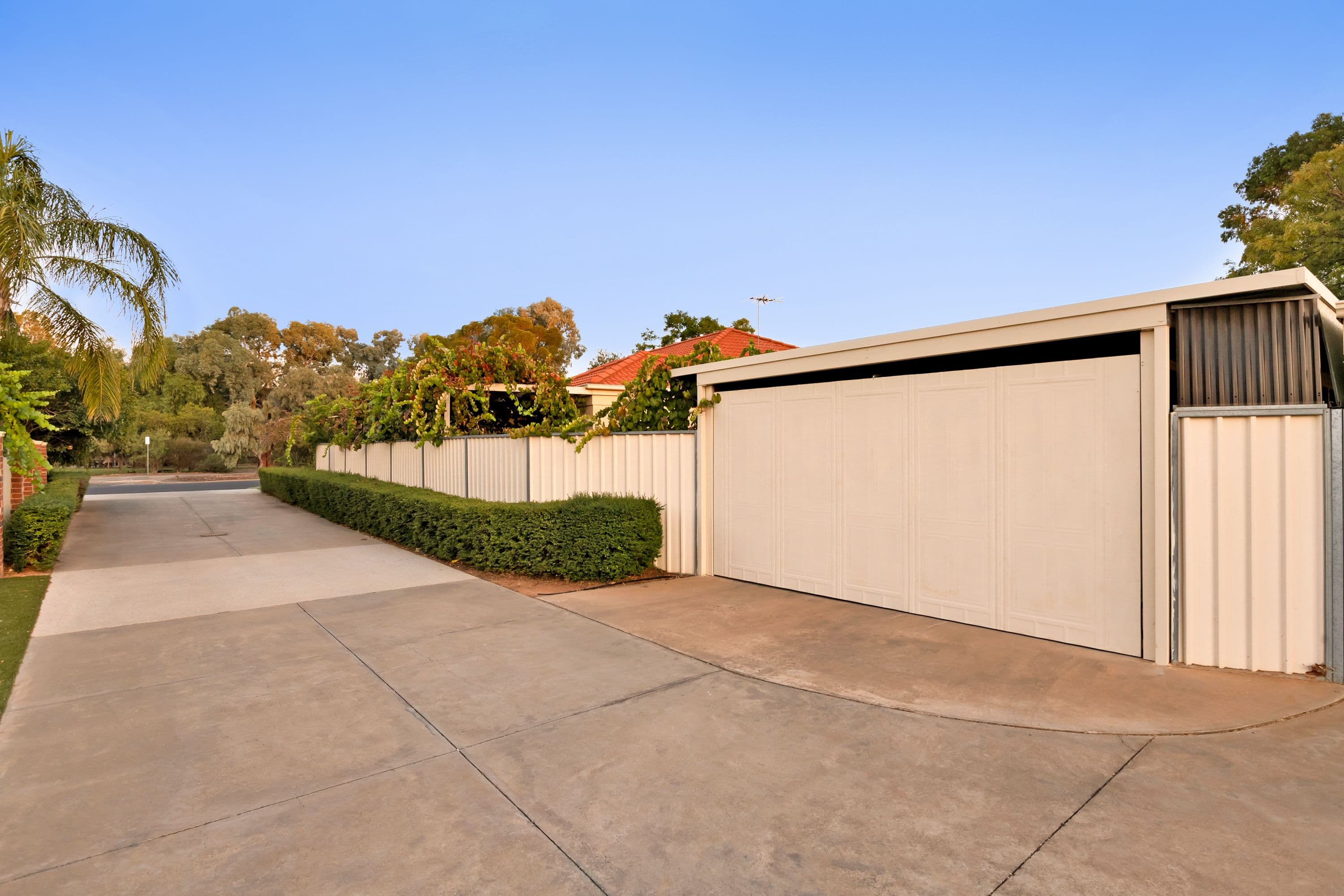 295 Cureton Avenue, Mildura VIC 3500, Mildura - Thumbnail 4