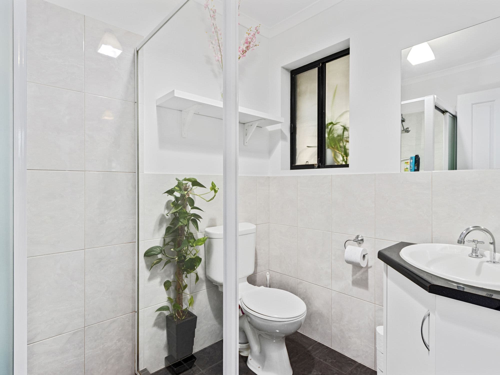 62 Borrow Street, Freeling SA 5372, Freeling - Thumbnail 4