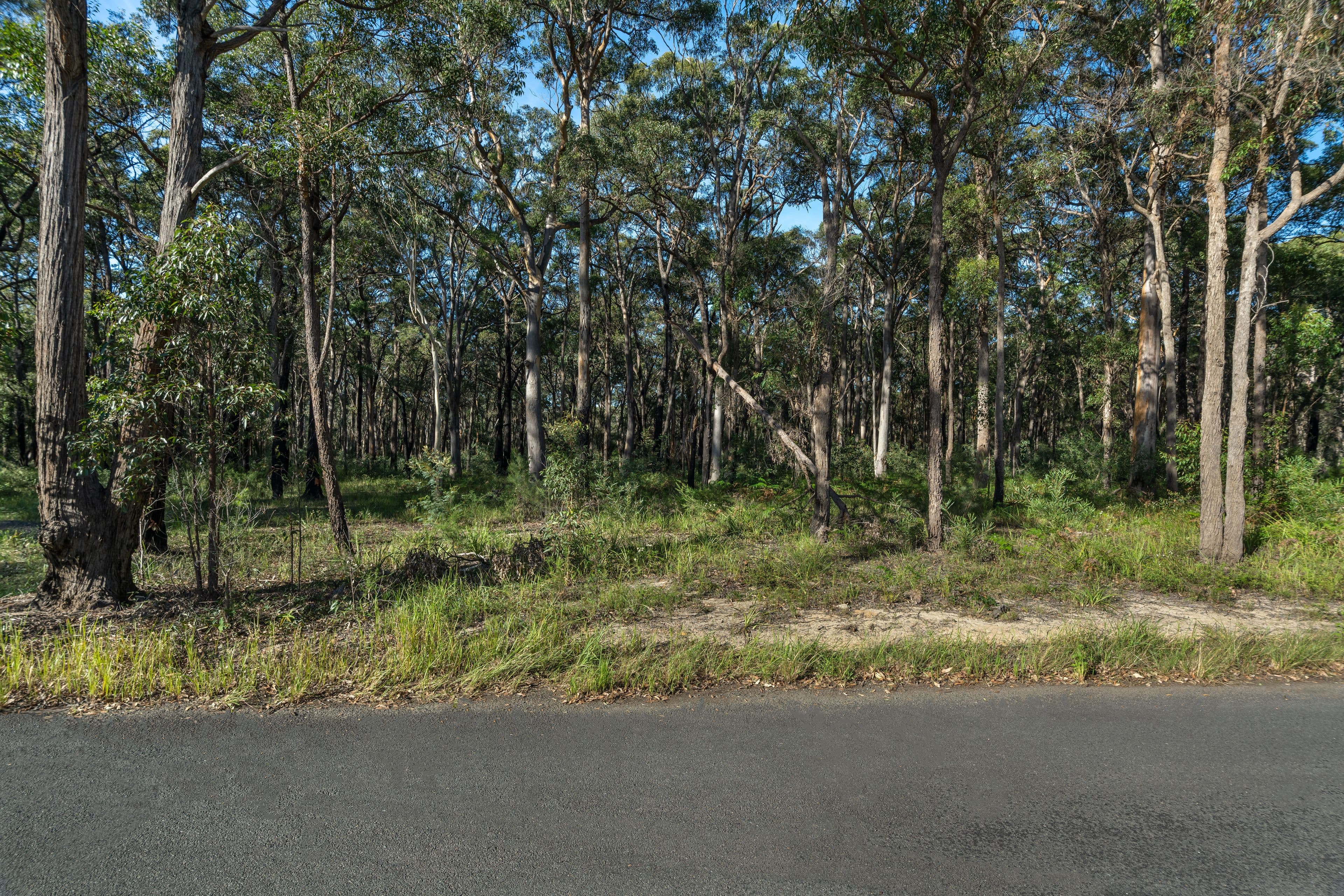 Lot 8 Sheaffe Street, Callala Bay NSW 2540, Callala Bay - Thumbnail 3
